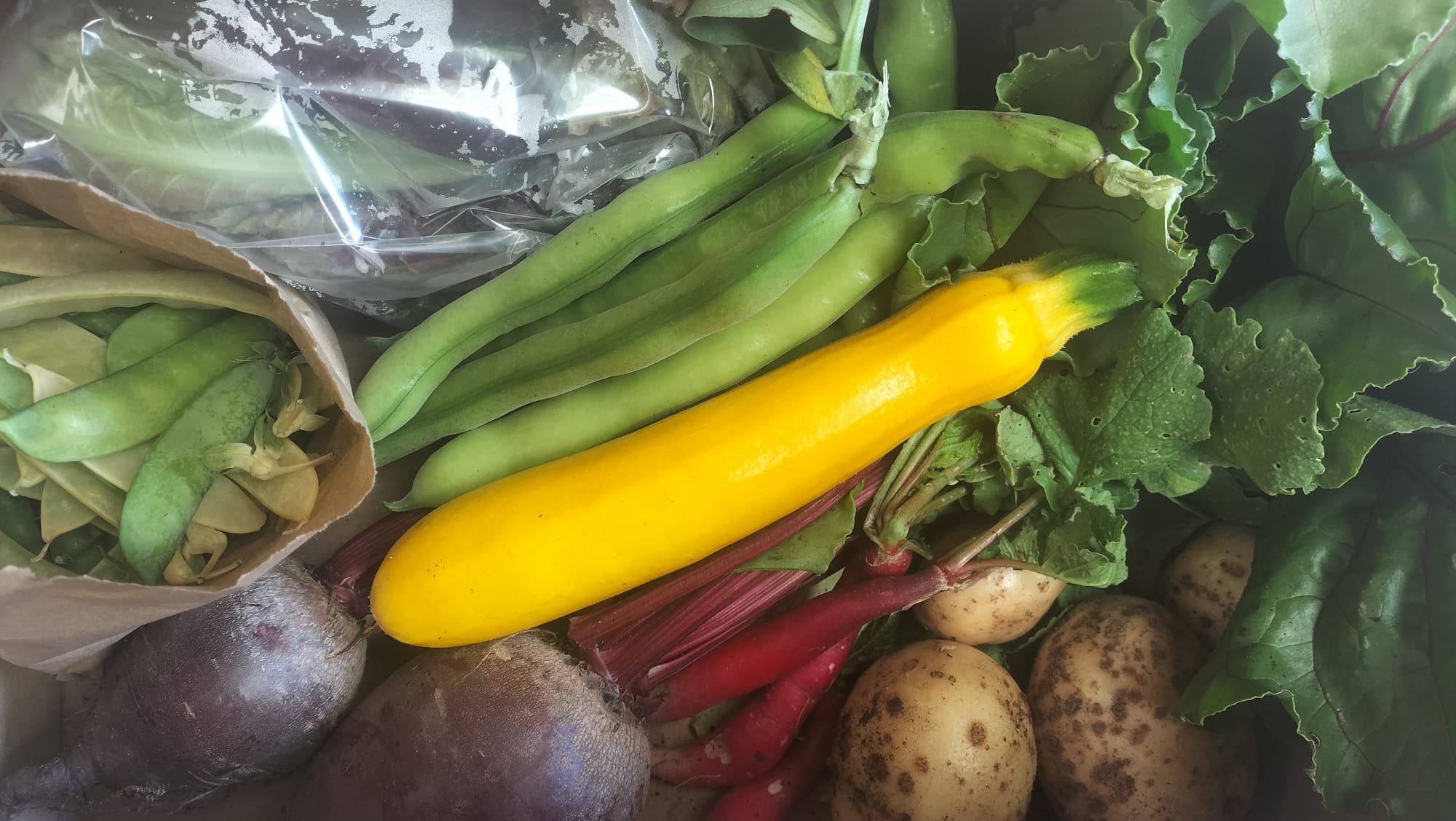 WhatsApp Image 2025-06-13 at 13.05.55.jpeg