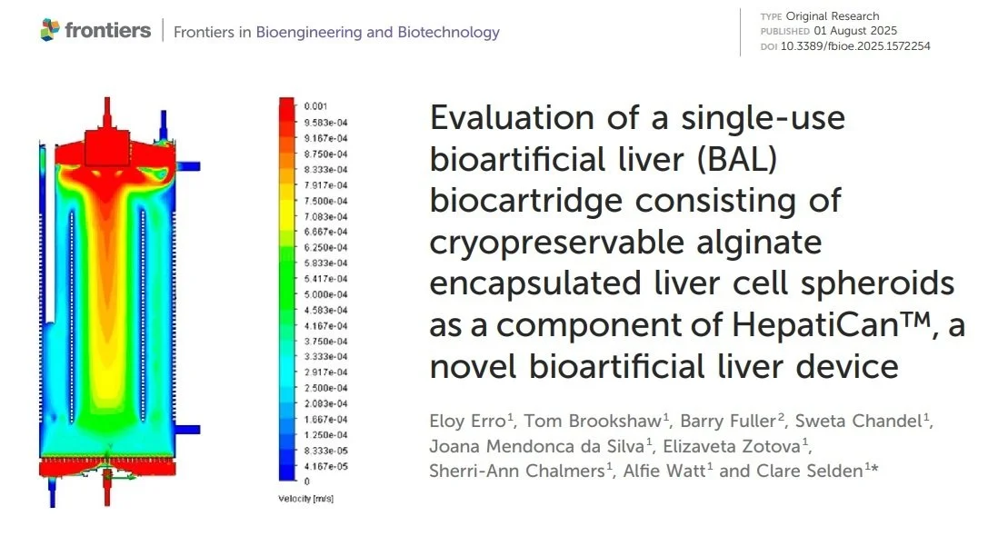 “Off-the-Shelf” Bioartificial Liver Cartridge Could Transform Liver Failure Treatment