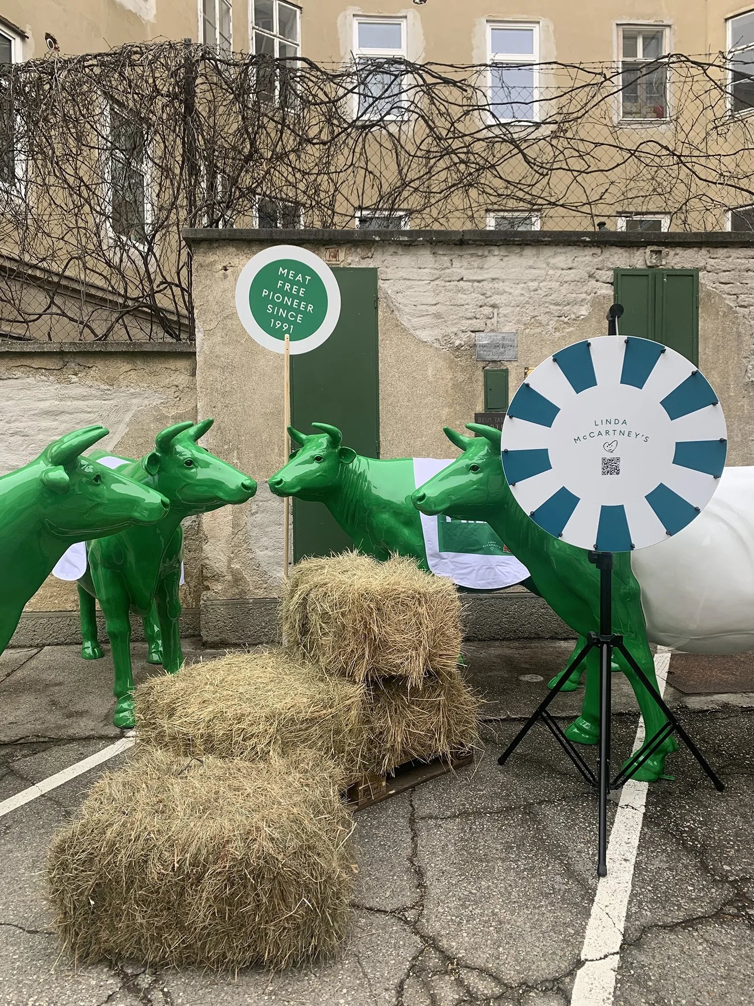 Sonderwerbemittel Kühe für Linda Mc Cartney