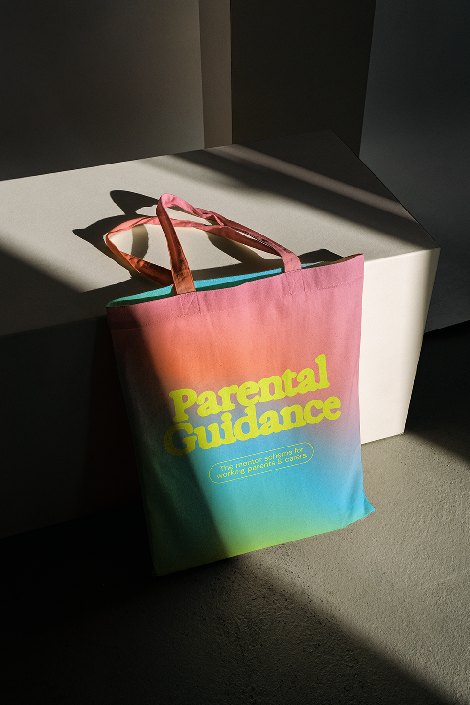 ParentalGuidenace_Area1_Bag.png