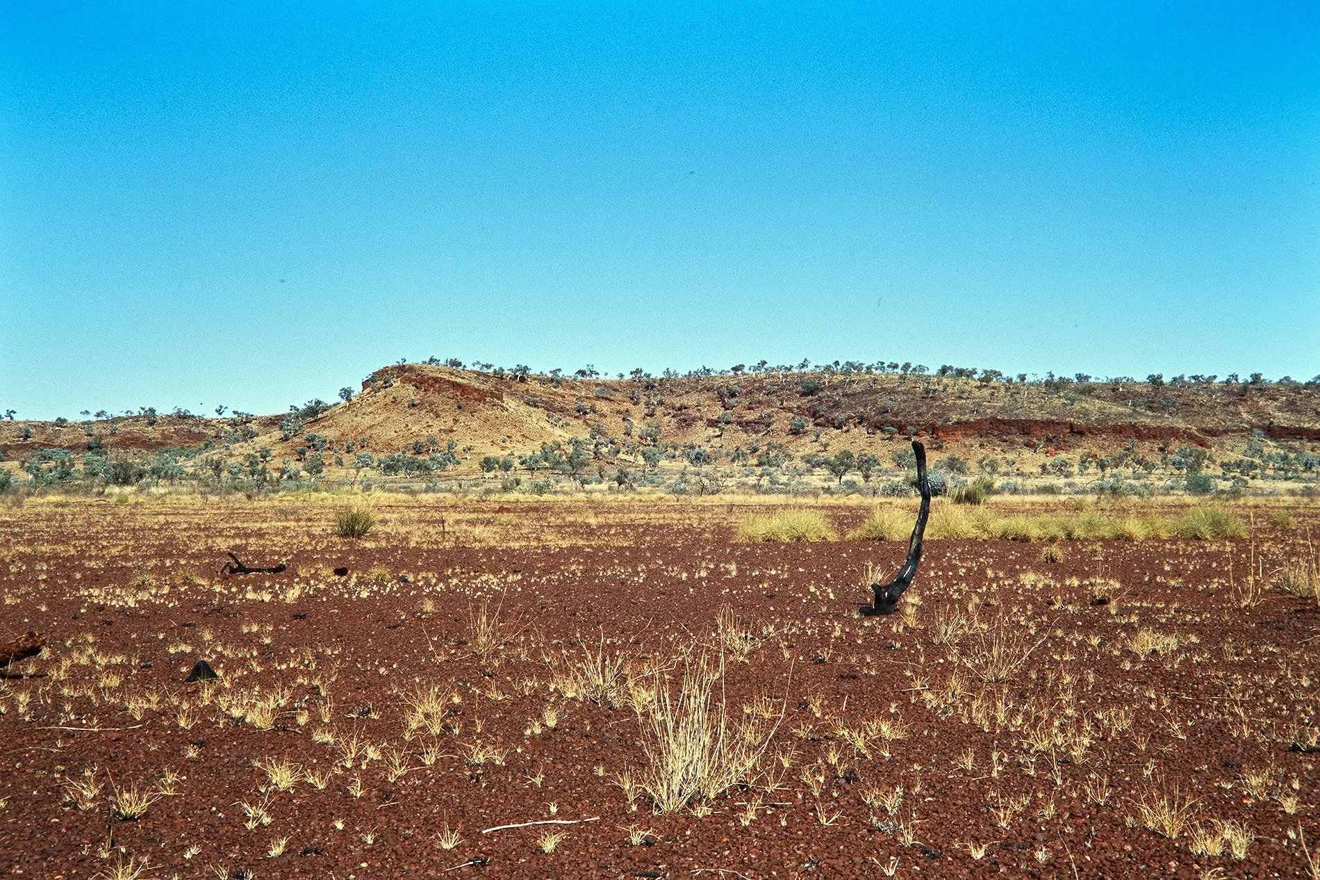 WESTERN AUSTRALIA ©FCAMPOVERDE