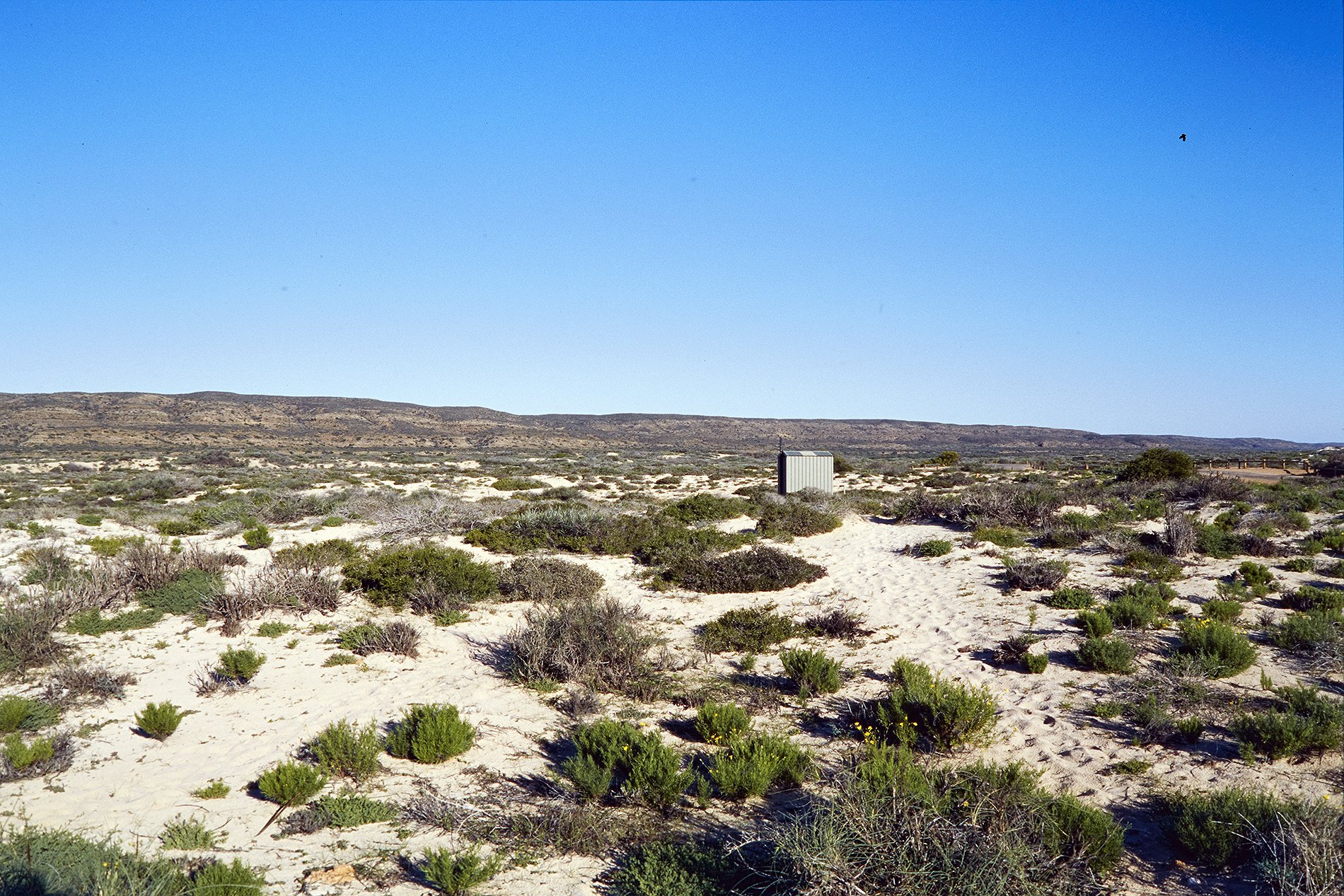 WESTERN AUSTRALIA ©FCAMPOVERDE