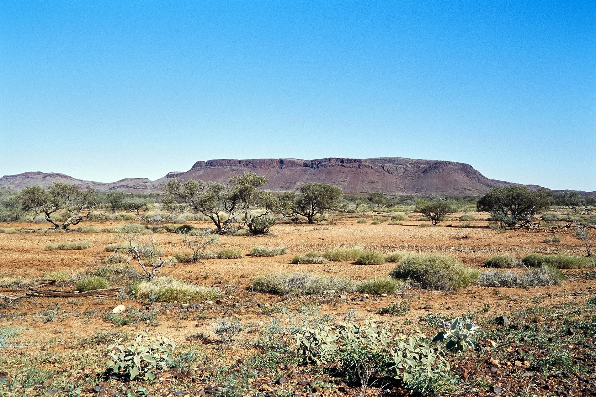 WESTERN AUSTRALIA ©FCAMPOVERDE