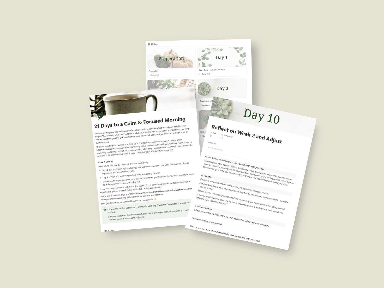 Mockup of the 21 Days to a Calm & Focused Morning guide and challengefor building a gentle, grounding morning routine.
