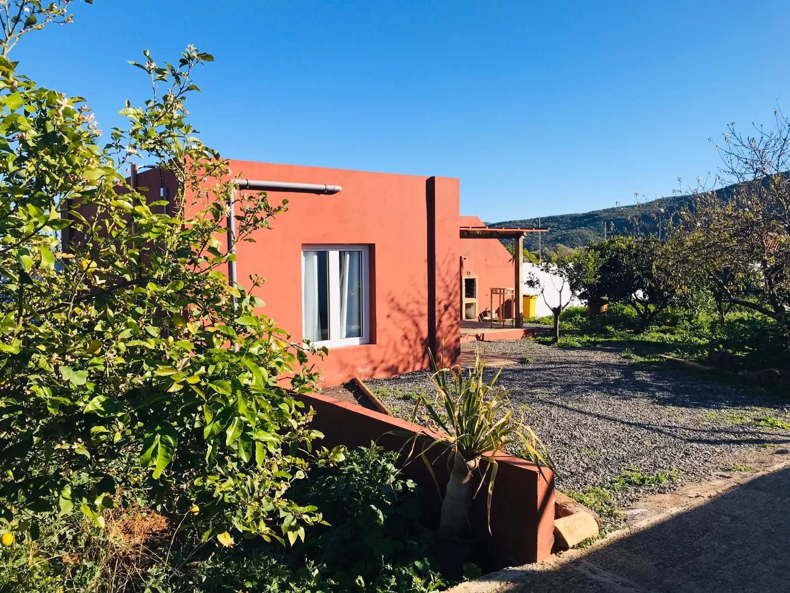 WhatsApp Image 2025-01-09 at 13.28.54.jpeg