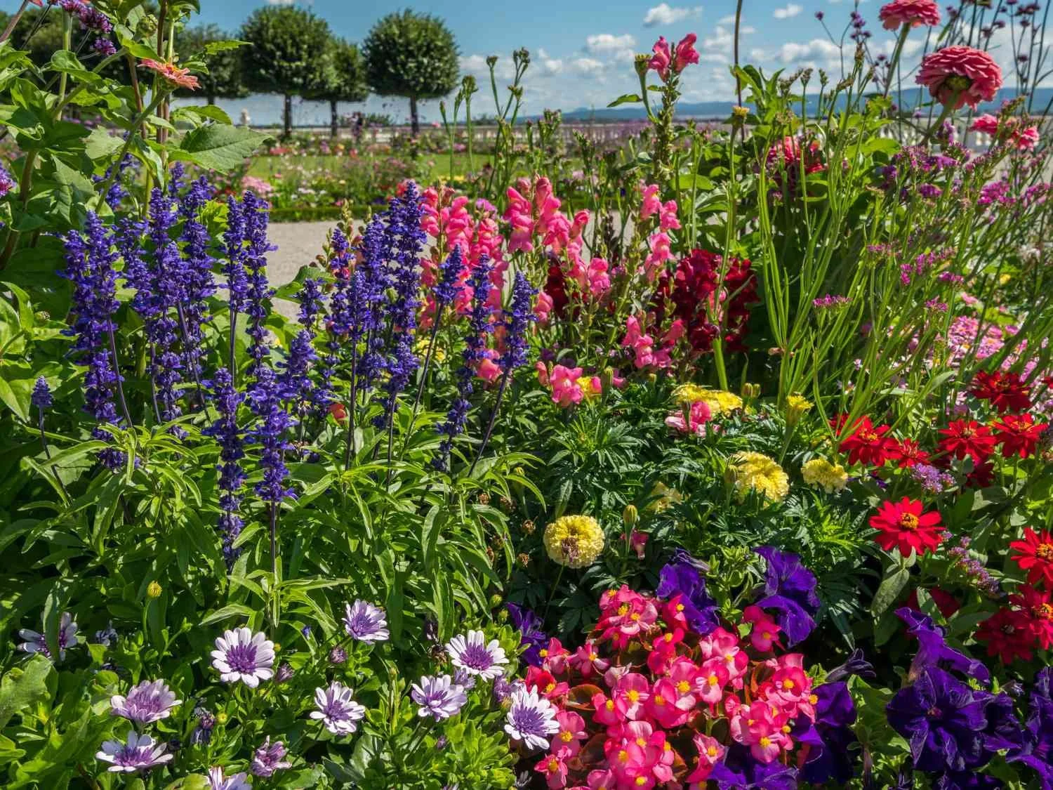 Garden Consultation - Mary Halligan