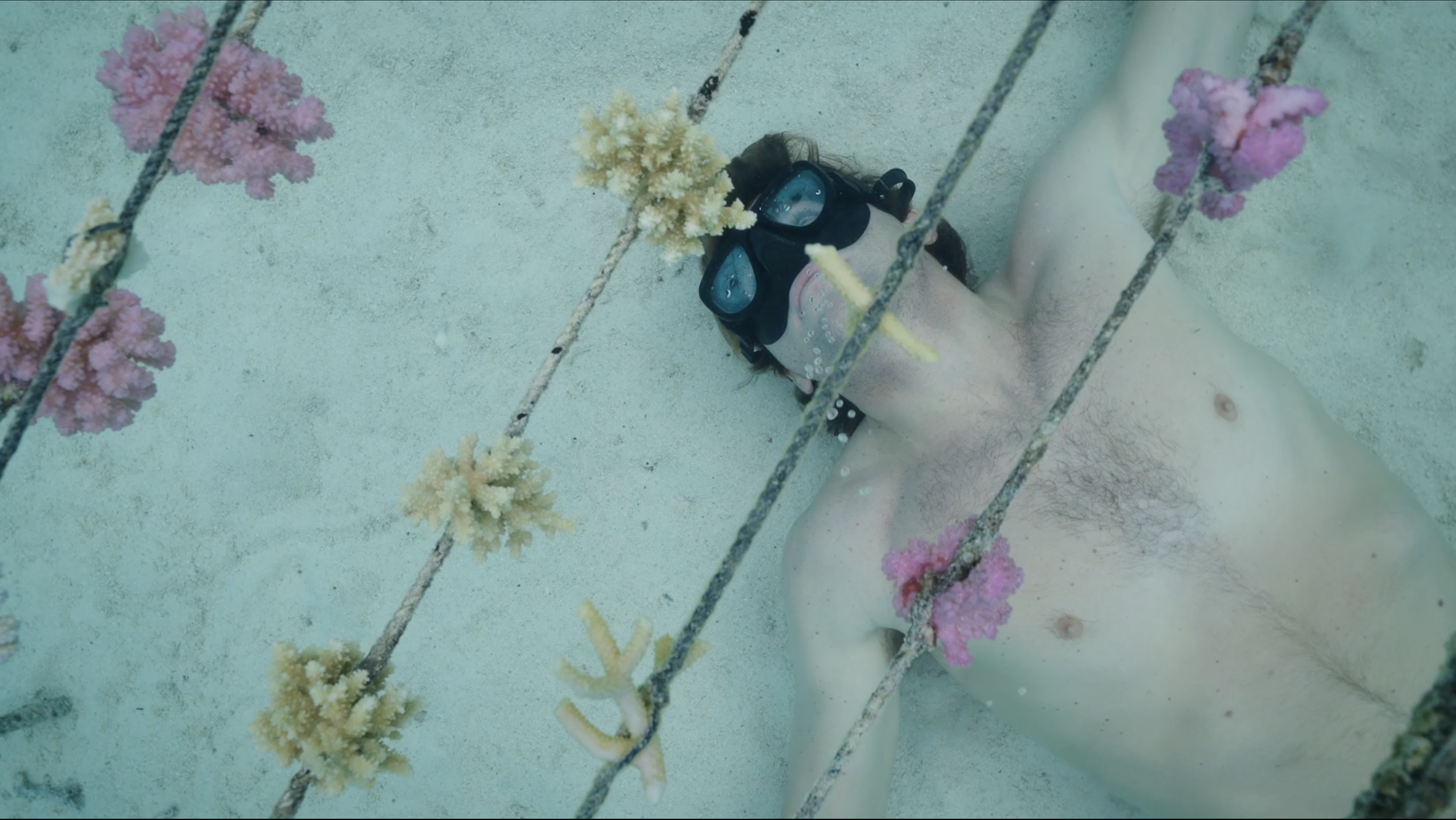 Screenshot 2026-04-10 alle 16.26.54.png