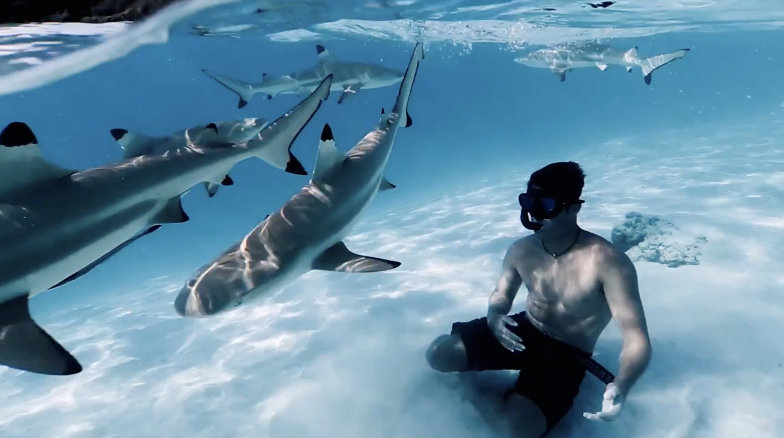 Screenshot 2026-04-10 alle 16.23.57.png