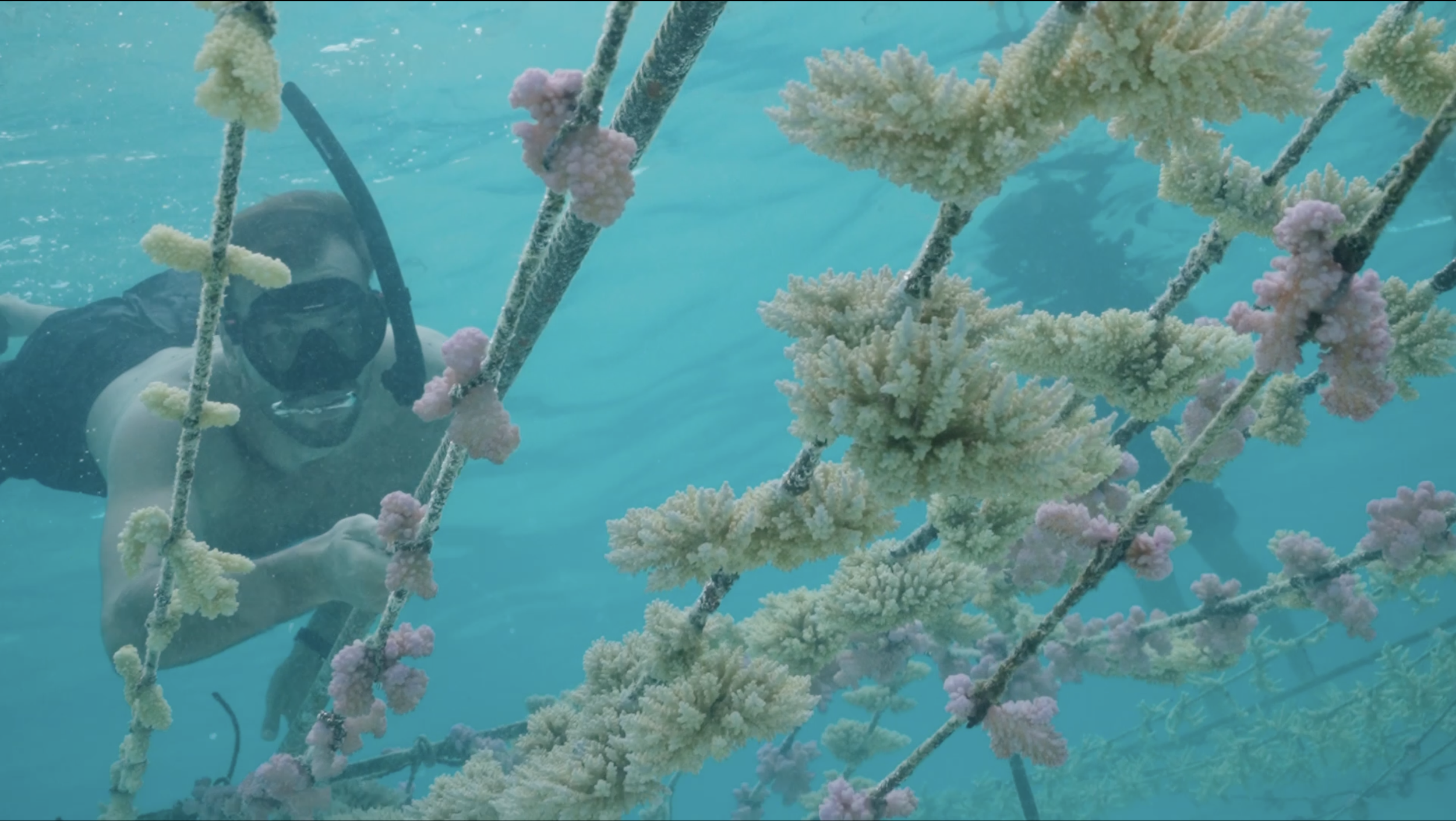 Screenshot 2026-04-10 alle 16.26.41.png