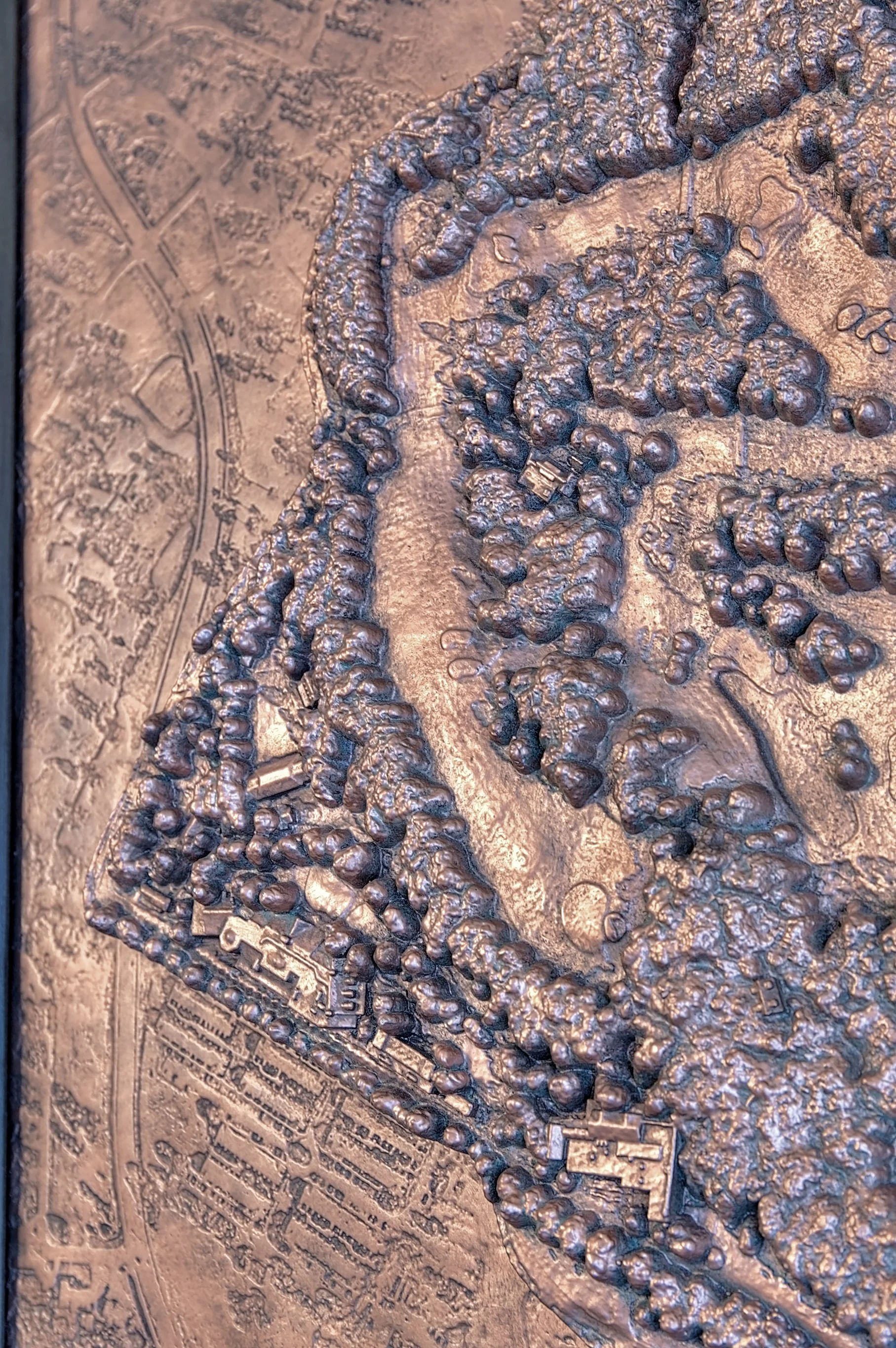 IMG_6672_3_4_5_6 copy.jpg