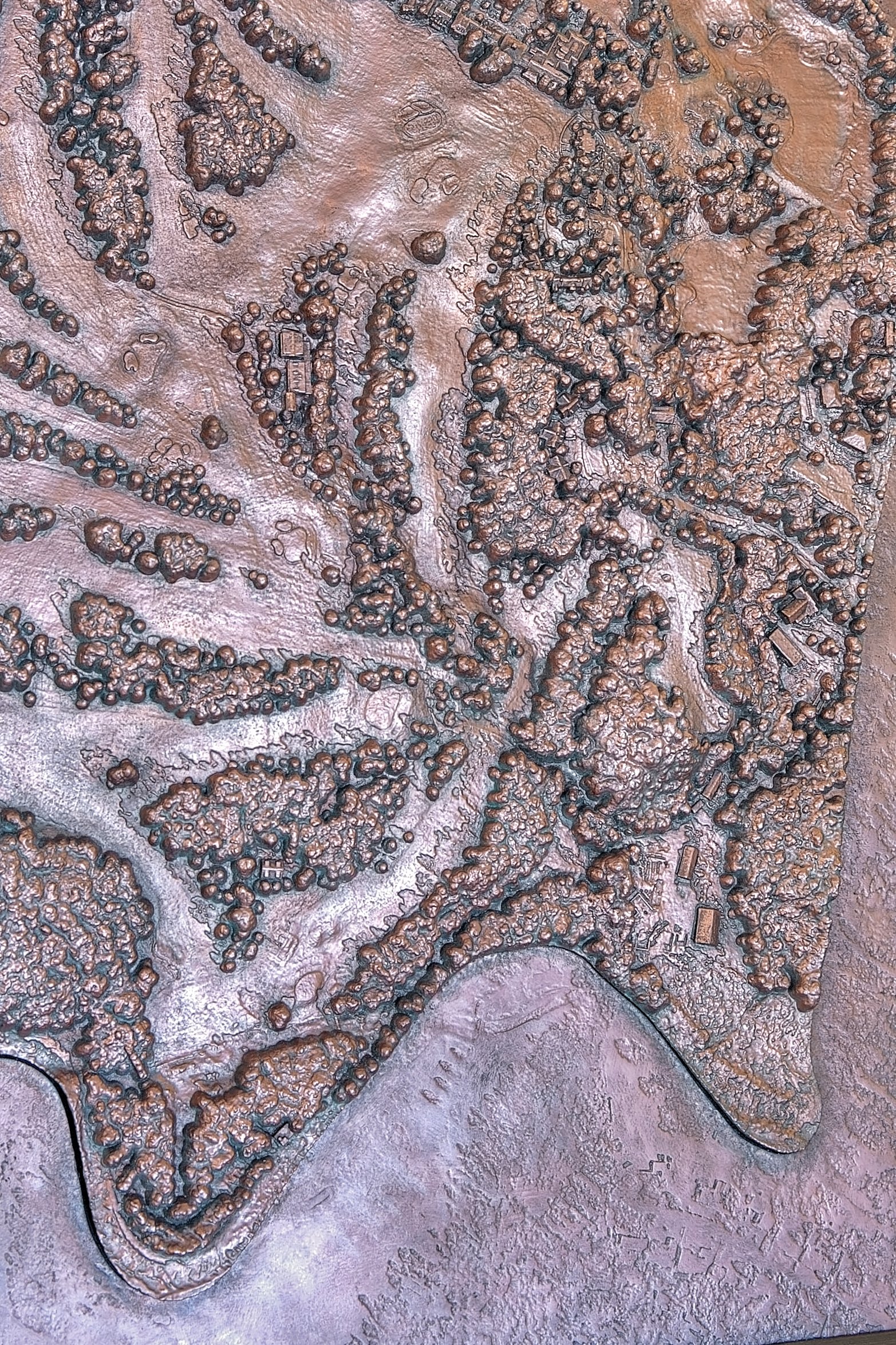 IMG_6832_3_4_5_6 copy.jpg