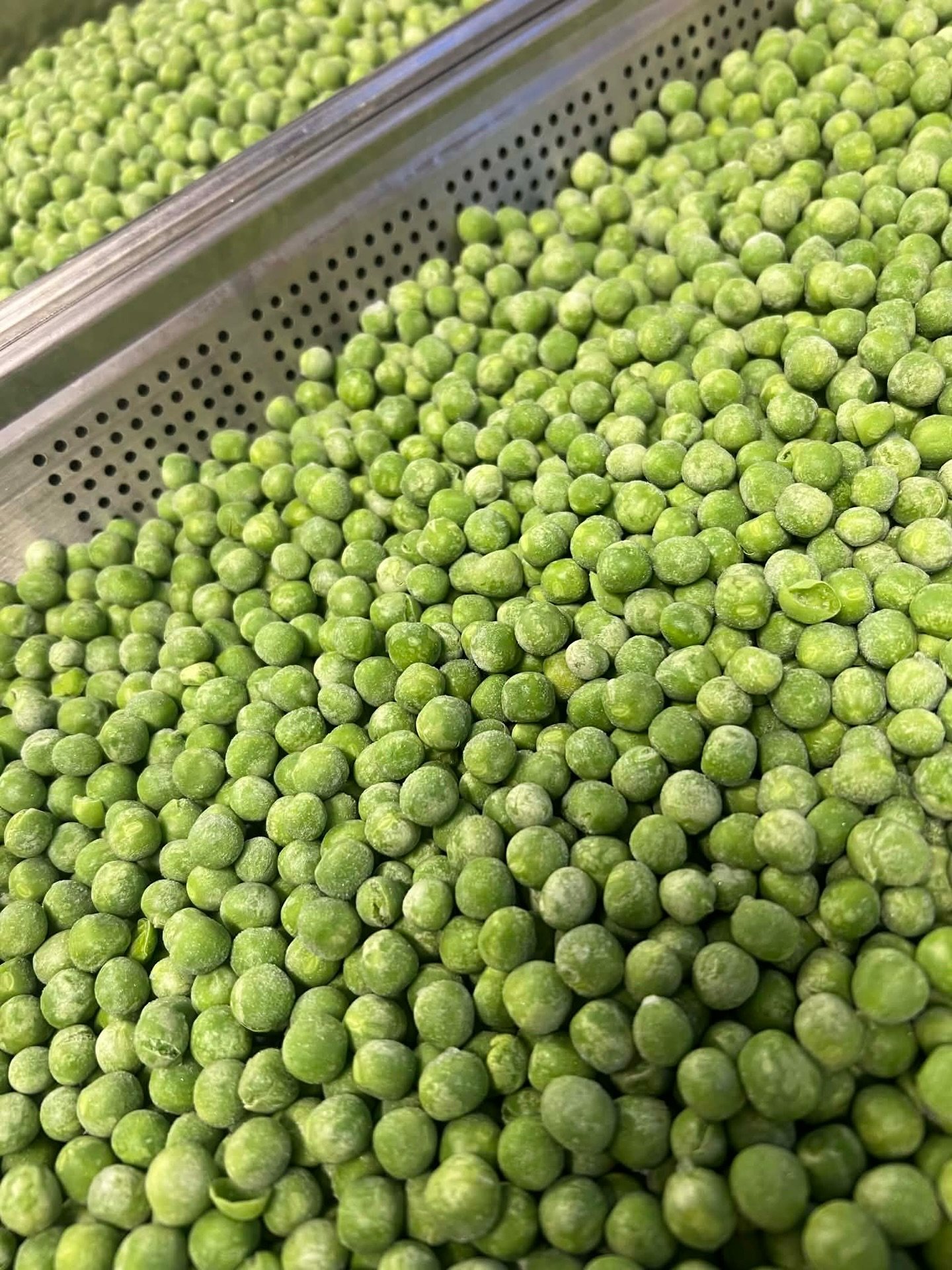 Ertepur&eacute; 💚 gir virkelig den nydeligste farge, er s&aring; n&aelig;ringsrikt og godt! 
I helgen ble det servert kamskjell p&aring; ertepur&eacute; med baconstr&oslash;ssel, hjort p&aring; sellerirotpur&eacute; med stekt sopp, redusert r&oslash