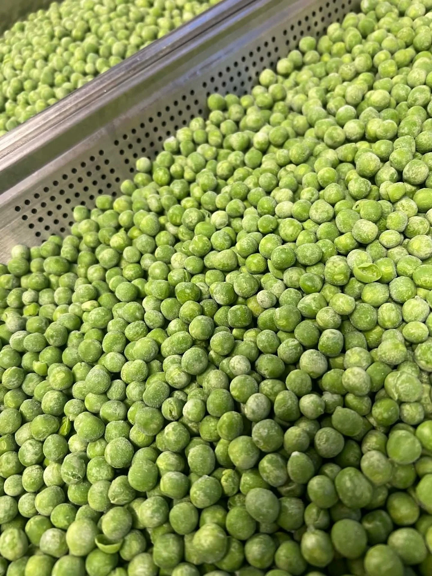 Ertepur&eacute; 💚 gir virkelig den nydeligste farge, er s&aring; n&aelig;ringsrikt og godt! 
I helgen ble det servert kamskjell p&aring; ertepur&eacute; med baconstr&oslash;ssel, hjort p&aring; sellerirotpur&eacute; med stekt sopp, redusert r&oslash