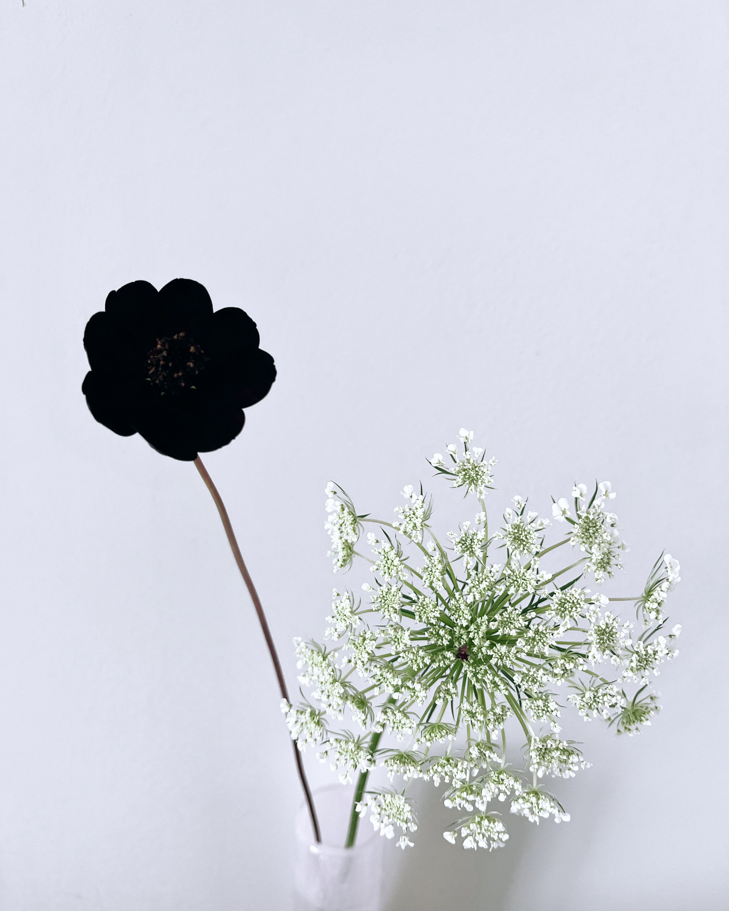 7A36BBD3-B5BF-4F39-9F71-F45CEB2652B5.JPG