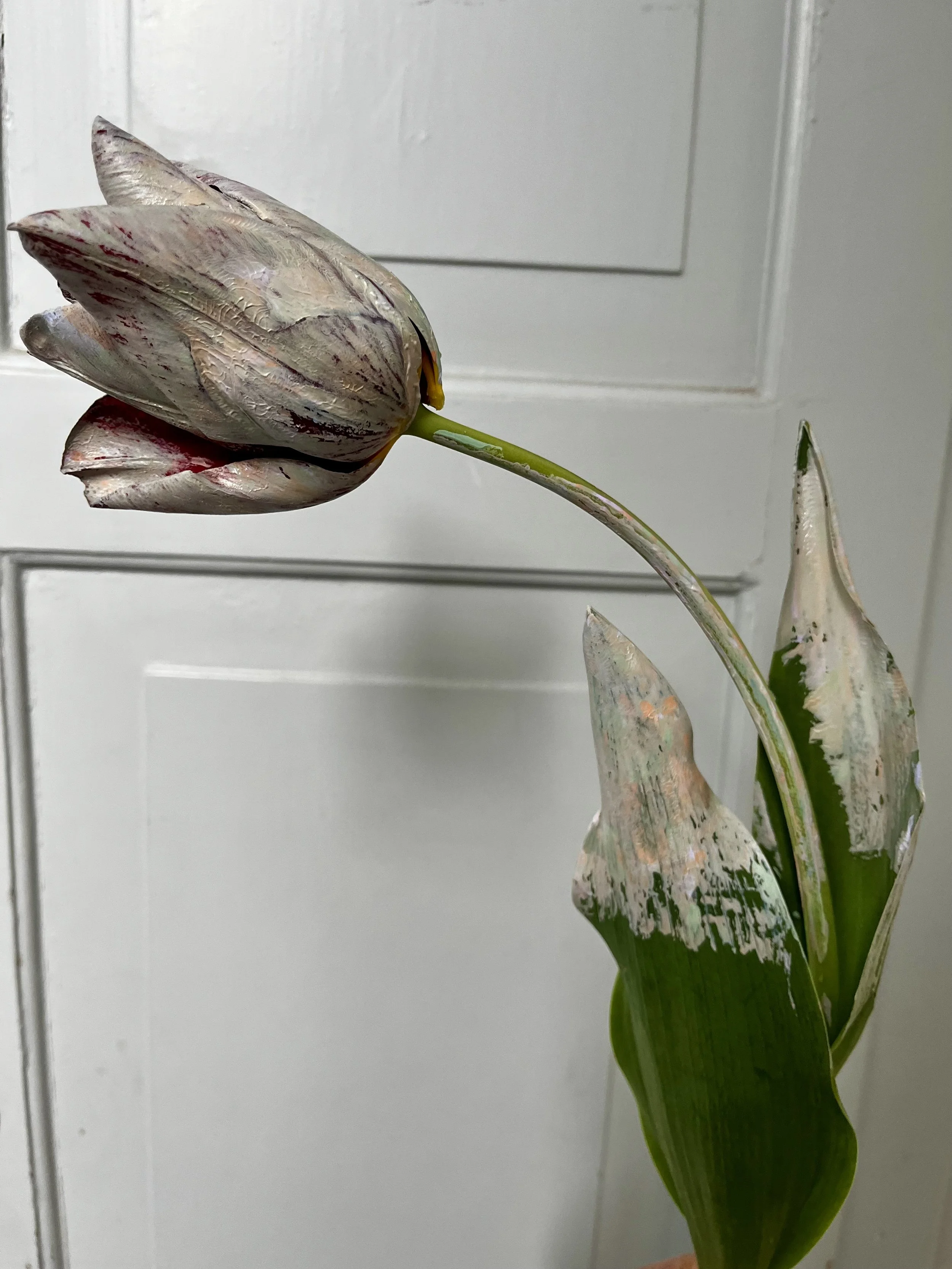 IMG_5327.jpeg