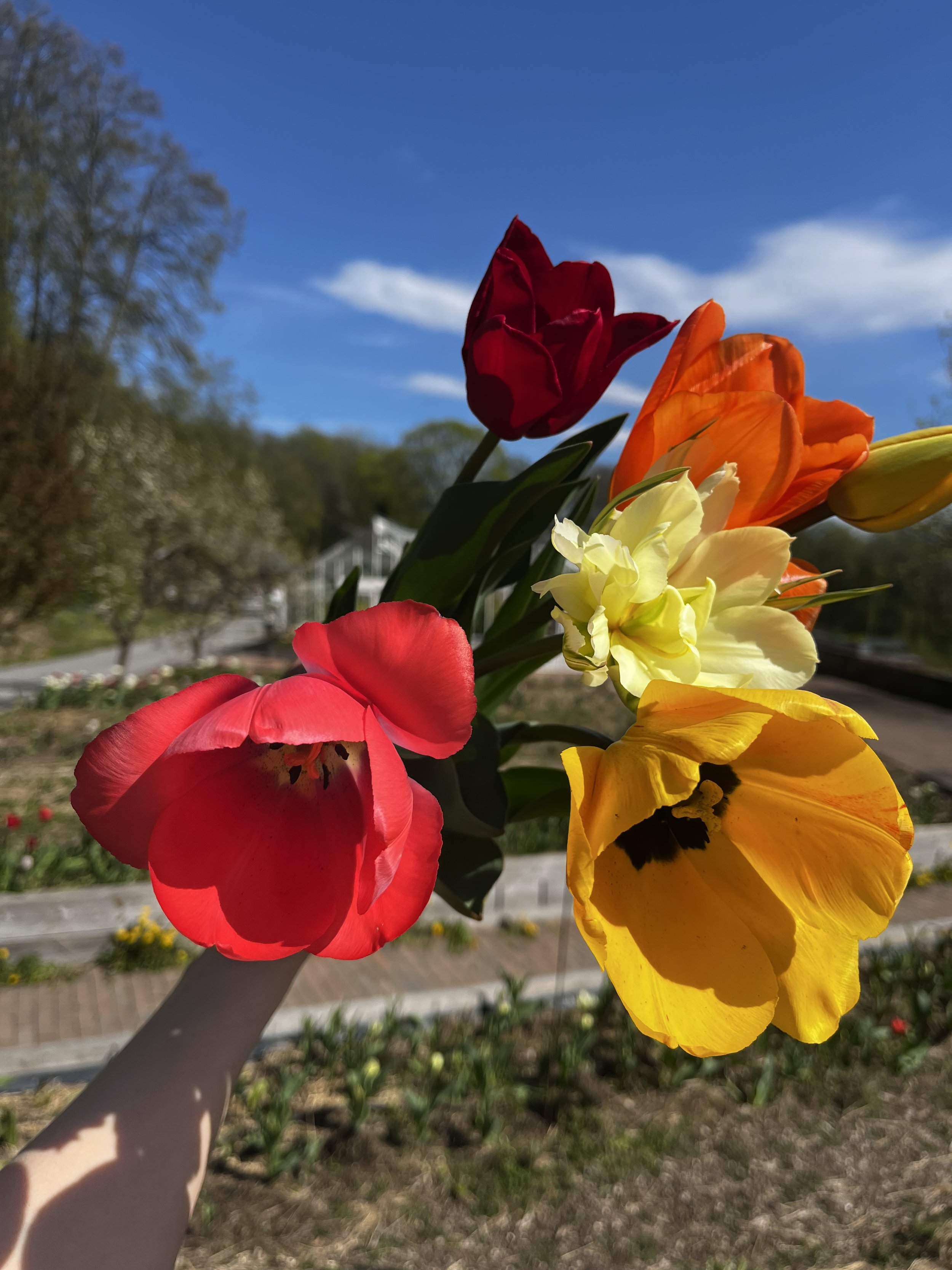IMG_5212.jpeg