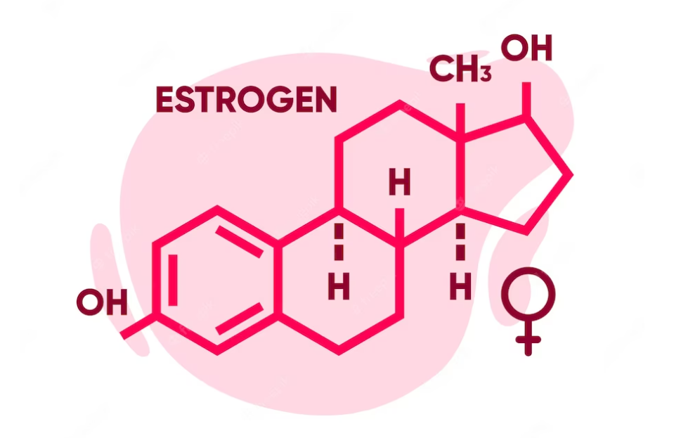 Why “Estrogen” Is the Wrong Word