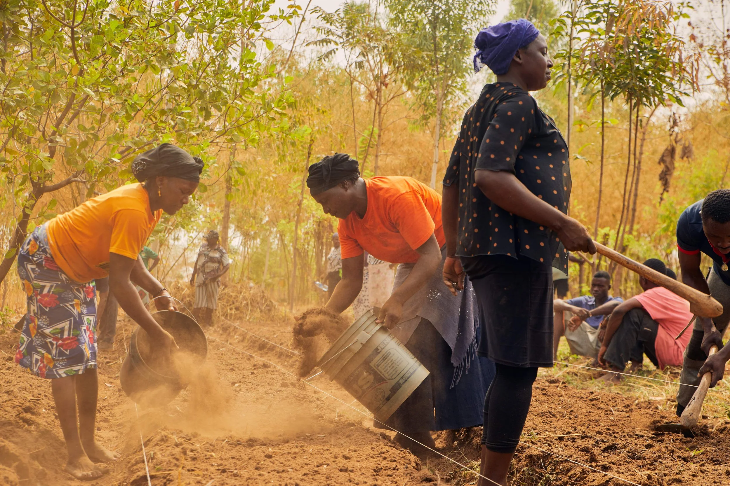 Amending the soil.jpg