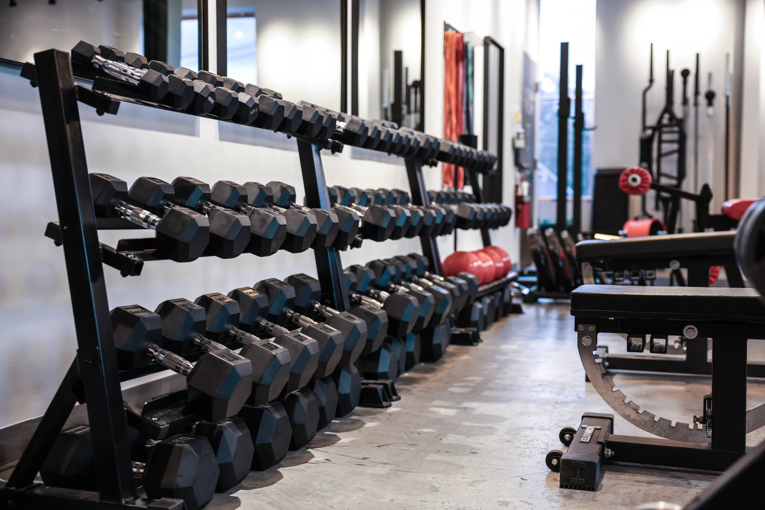 rack of weights
