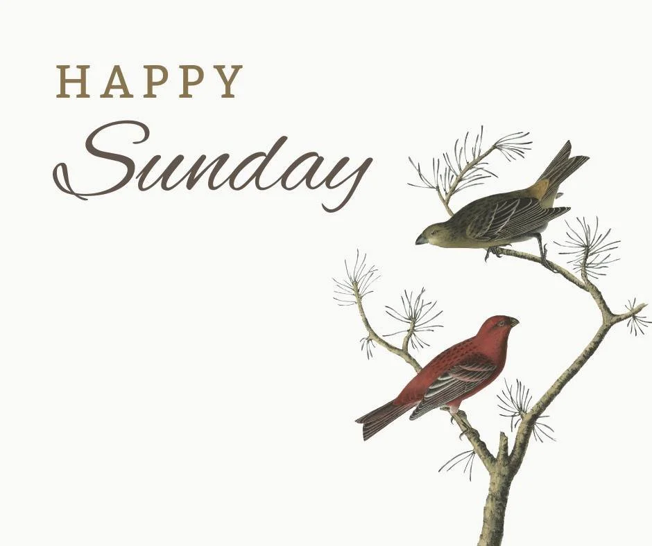 Have a blessed Sunday!

#kitchenofdana #happysunday #lookforthebrownbox