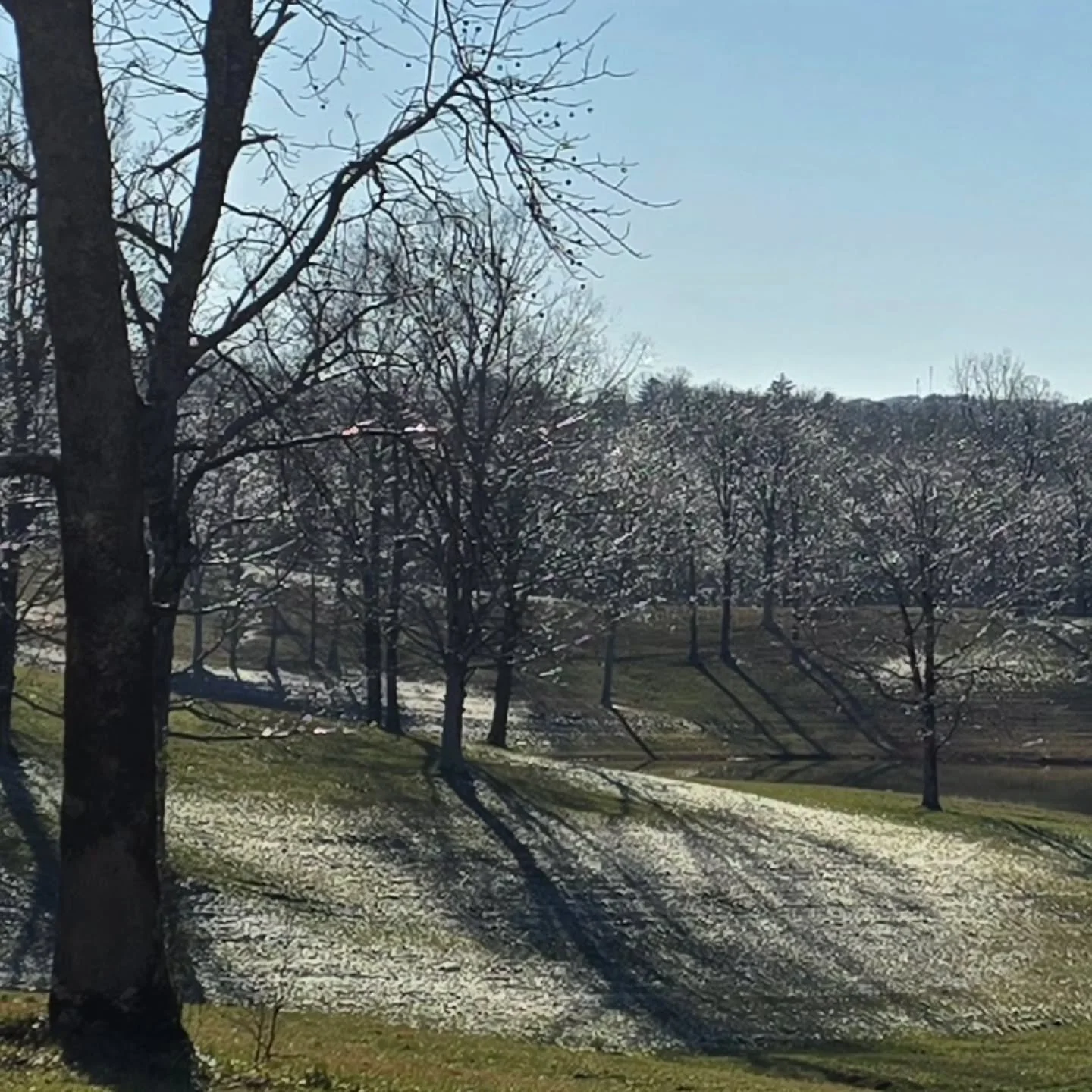 We hope everyone is doing okay out there. The sun shining down was a little deceitful this afternoon. Didn't look near as cold as it was.