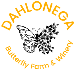 Dahlonega Butterfly Farm & Winery