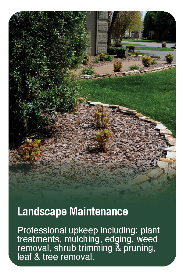 A landscaped yard with a rock border, shrubbery, and a grassy lawn.