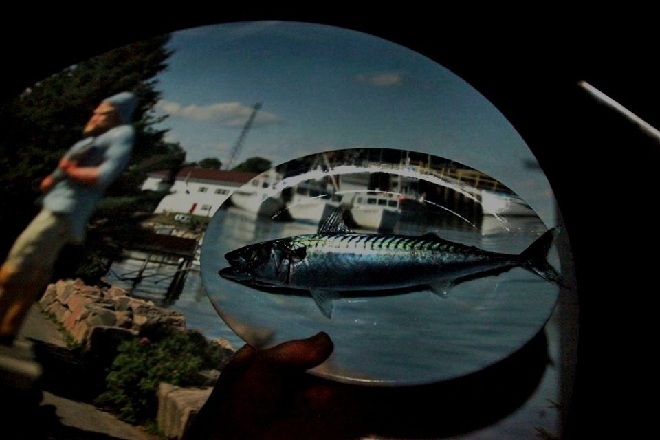 A person holding a plate with a fish, with a harbor and boats in the background.