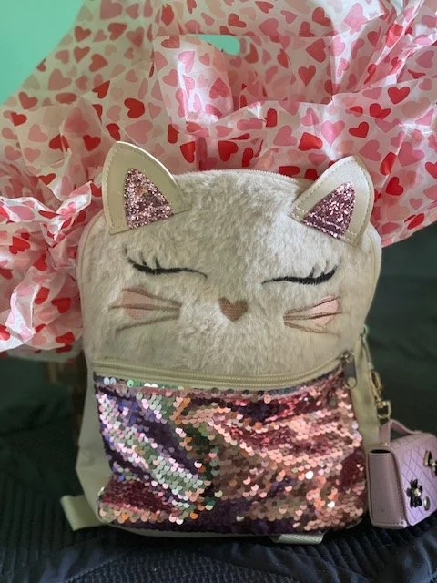 Little Valentine Sparkle Backpack Kitty Cat