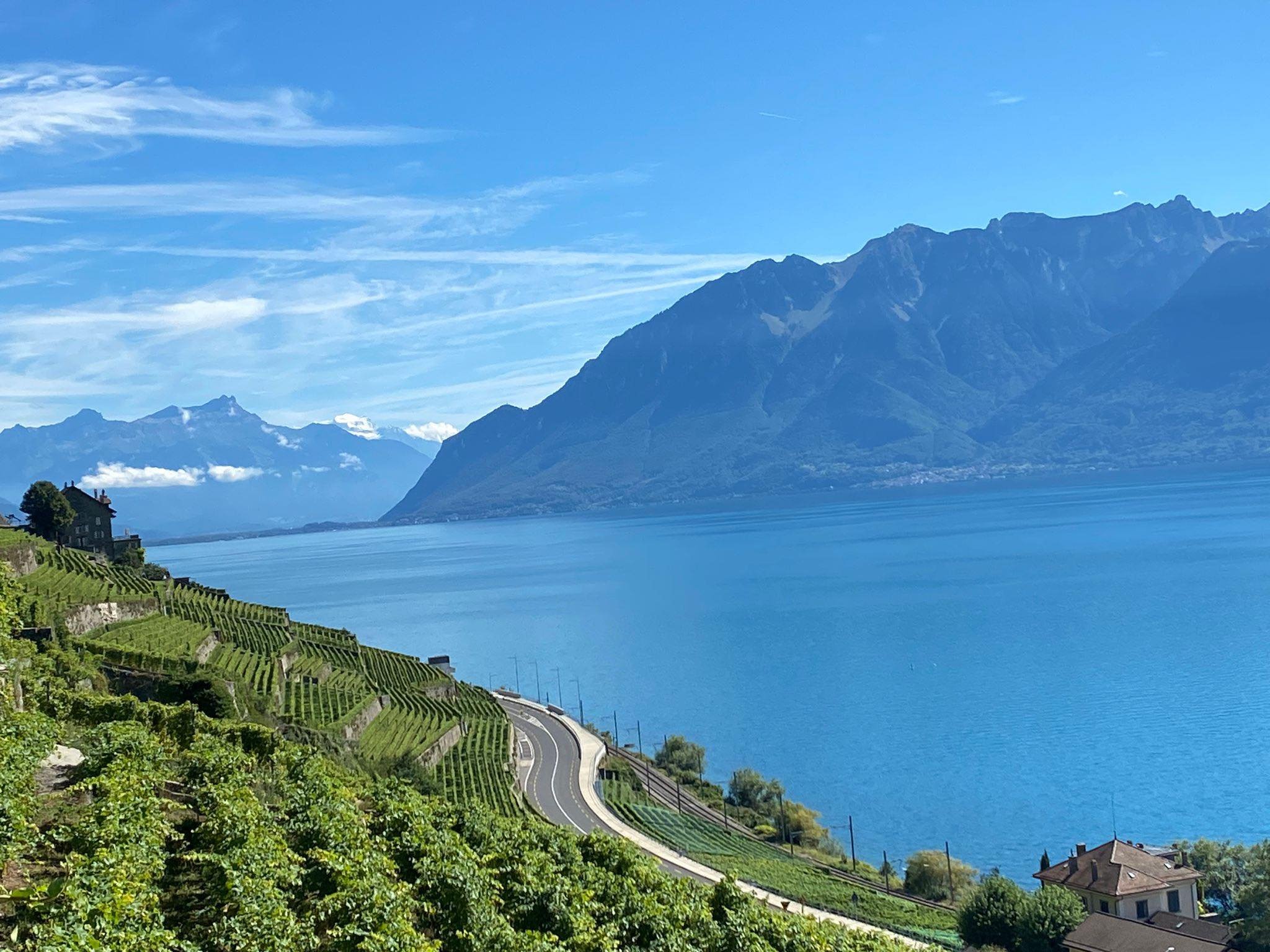 Day Trip to Lavaux: A Vineyard Wonderland by the Lake