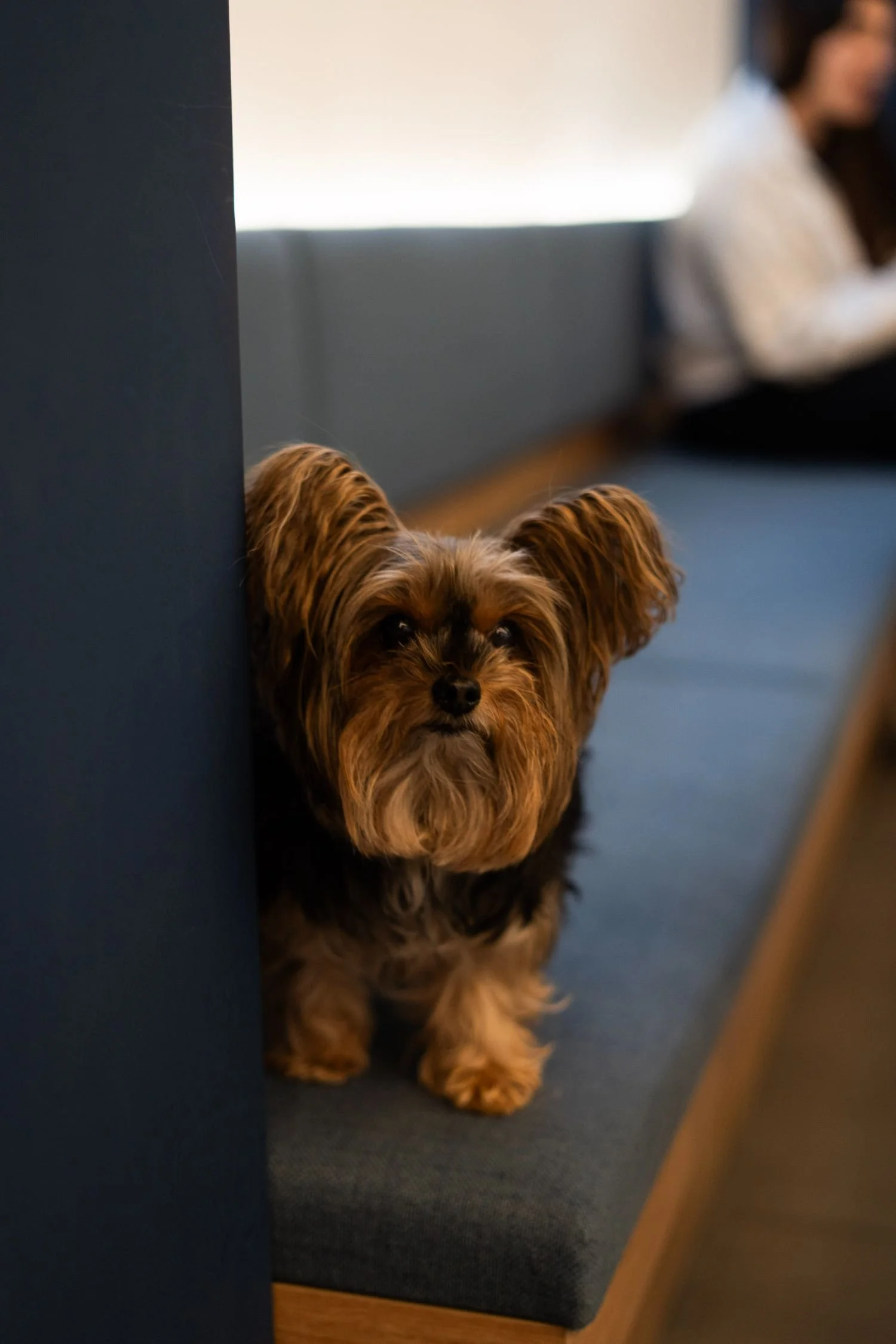 processed_DSC00232 (1).jpeg