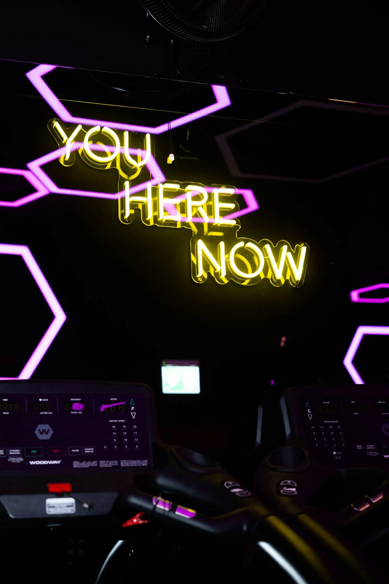 processed_DSC00416 (2).jpeg