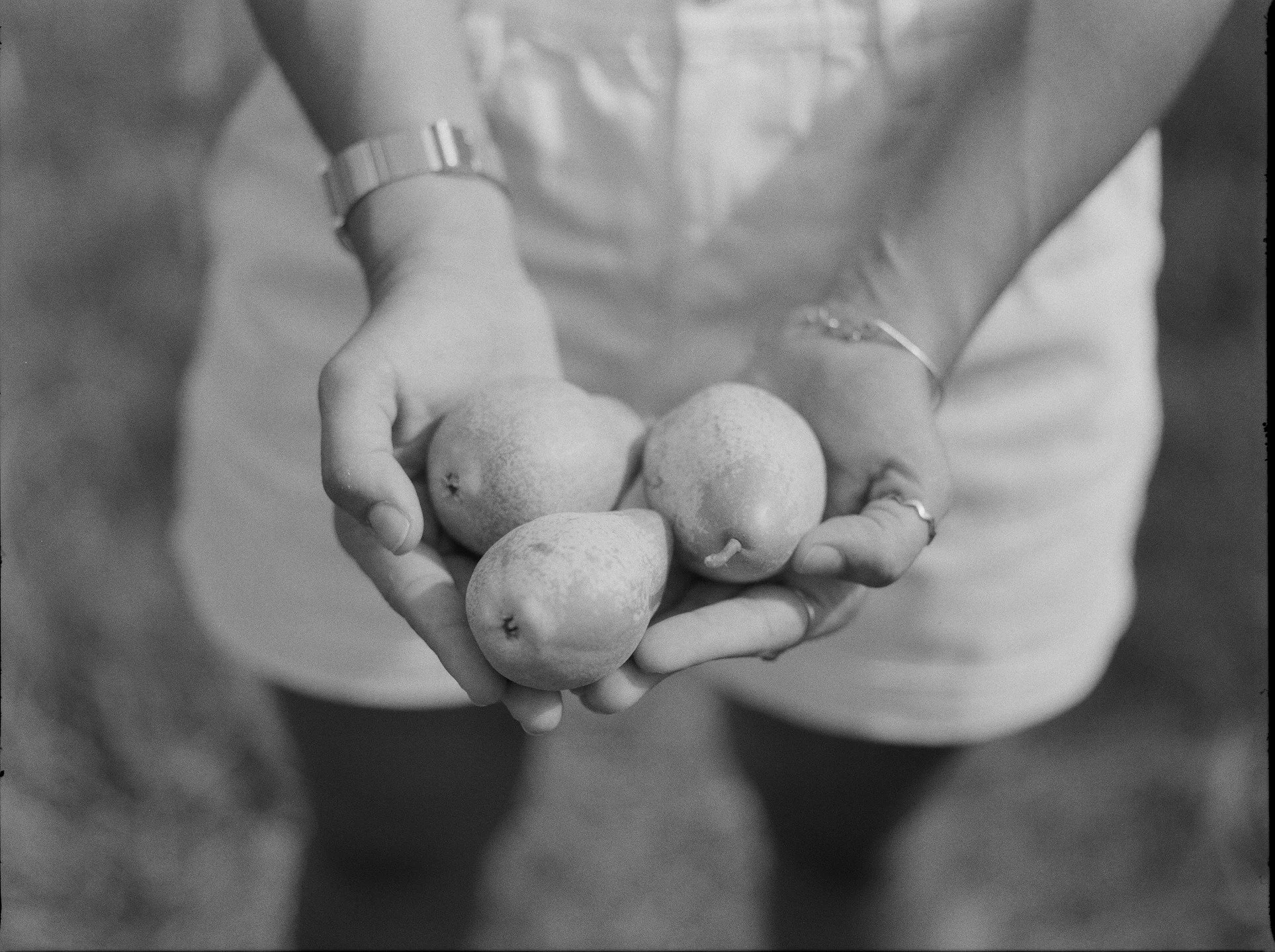 invadira-me um prazer delicioso, 2025