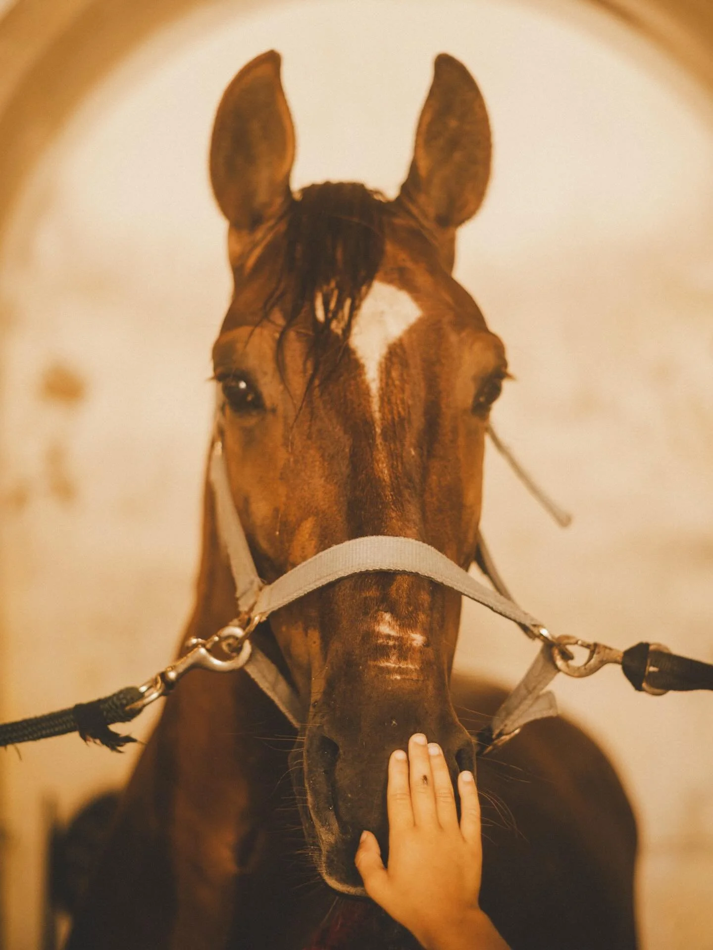 de onde vem a calma, 2025
