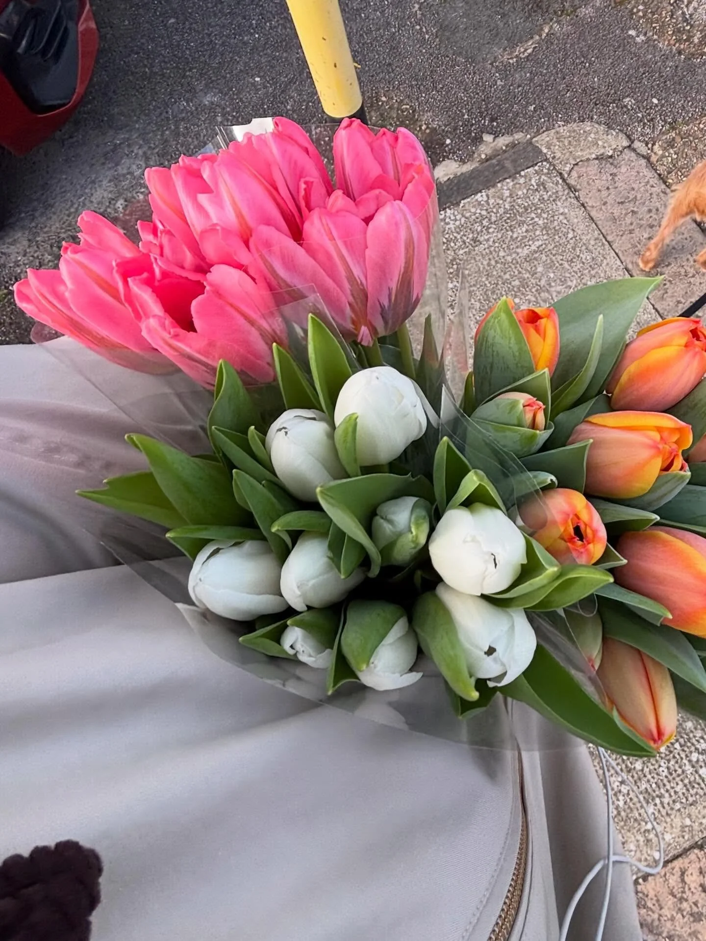 small moments of Q1 that aren&rsquo;t actually small at all. 🐚

1. Spring is here - I <3 tulips 🌷 
2. My latest hobby, camcorder &amp; heavenly weekends in Whitstable 🐚
3. Spending time with my godbabies 👶🏻
4. Obsessed with this pink oyster b