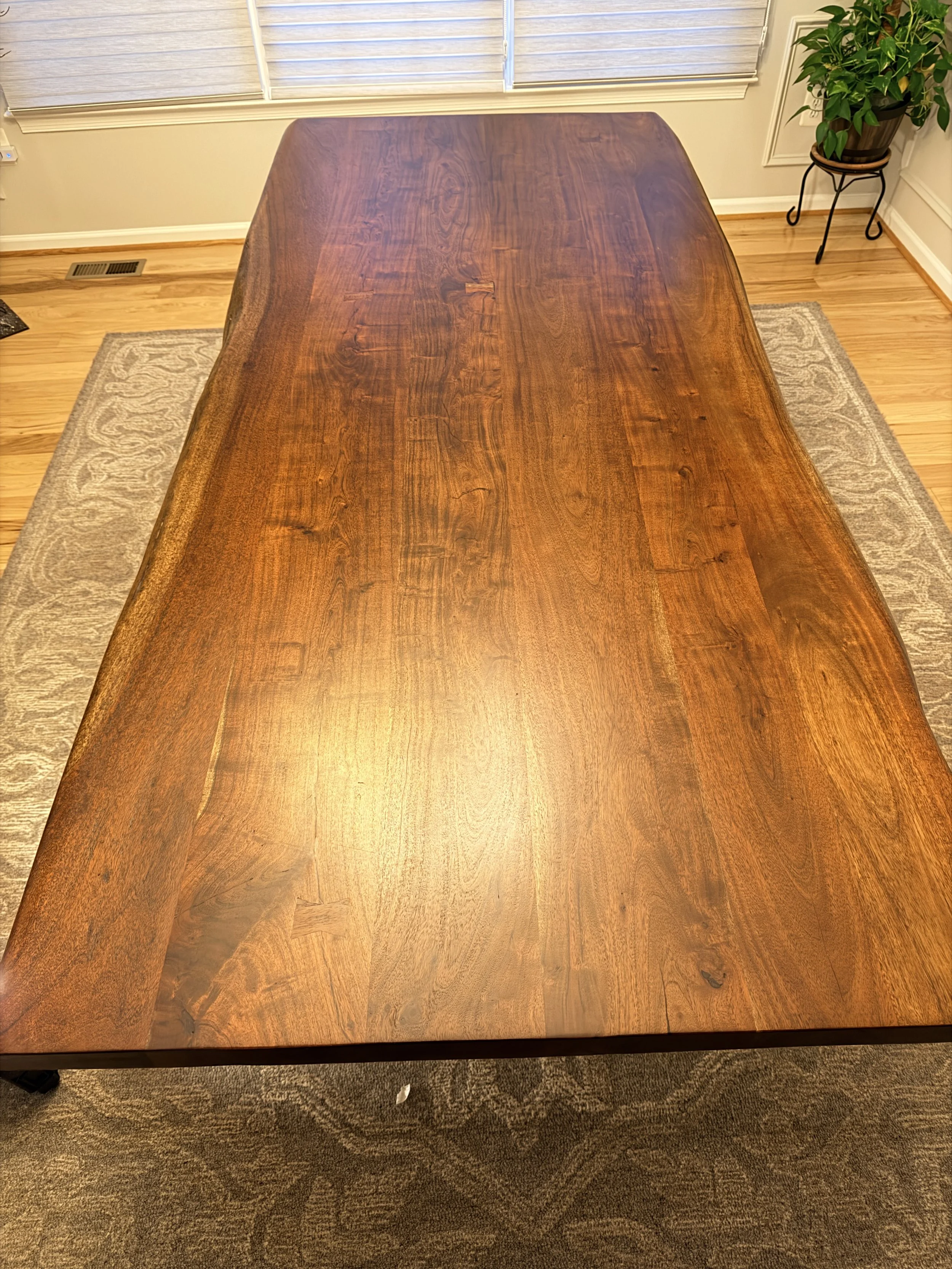 A modern coffee table with a glass top and wooden base in a living room with hardwood floors, a blue sofa, and decorative vases with poinsettias.