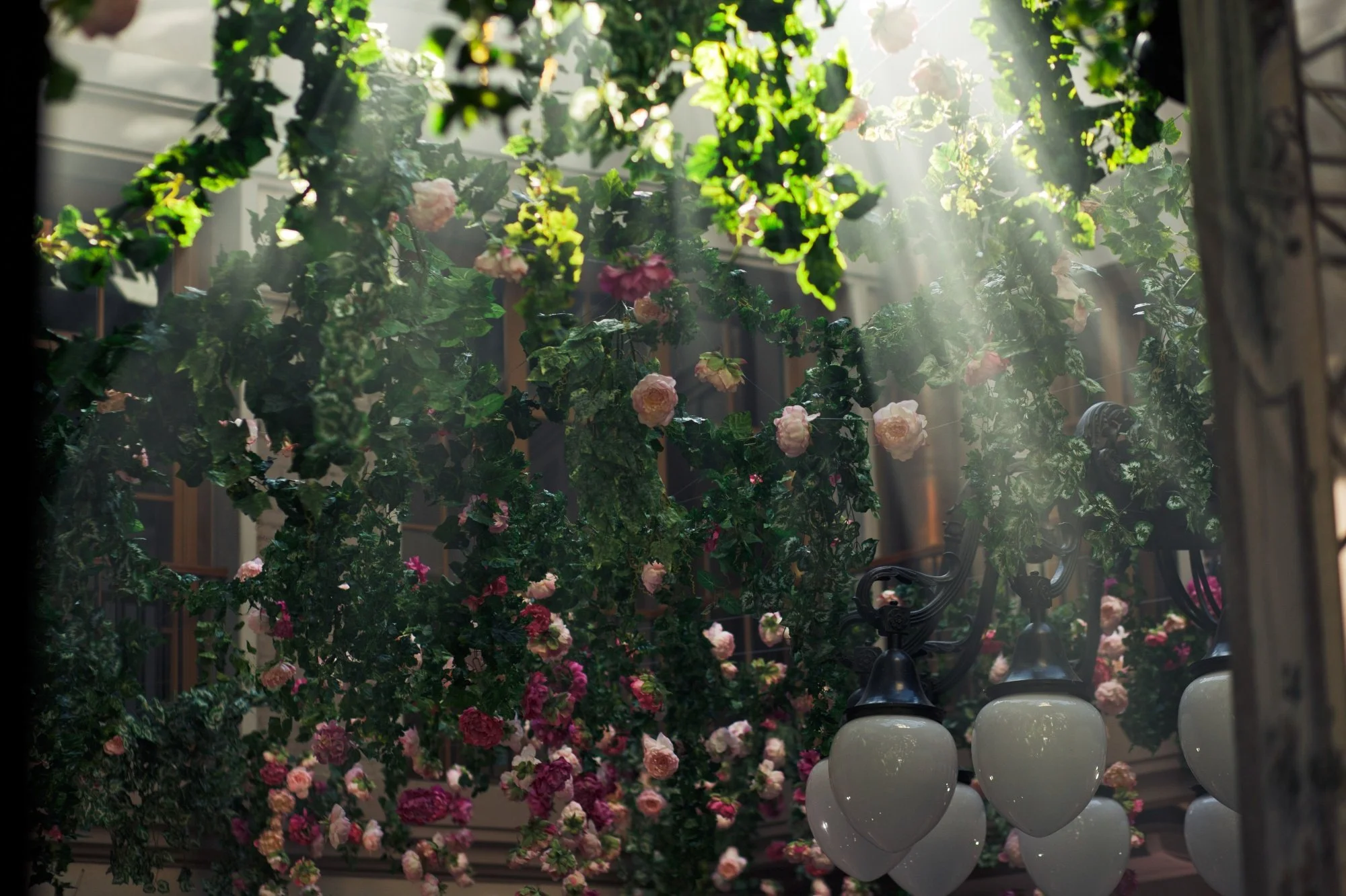 Sunlight streaming through a greenhouse filled with pink and red roses and green ivy. White vases are visible at the bottom.