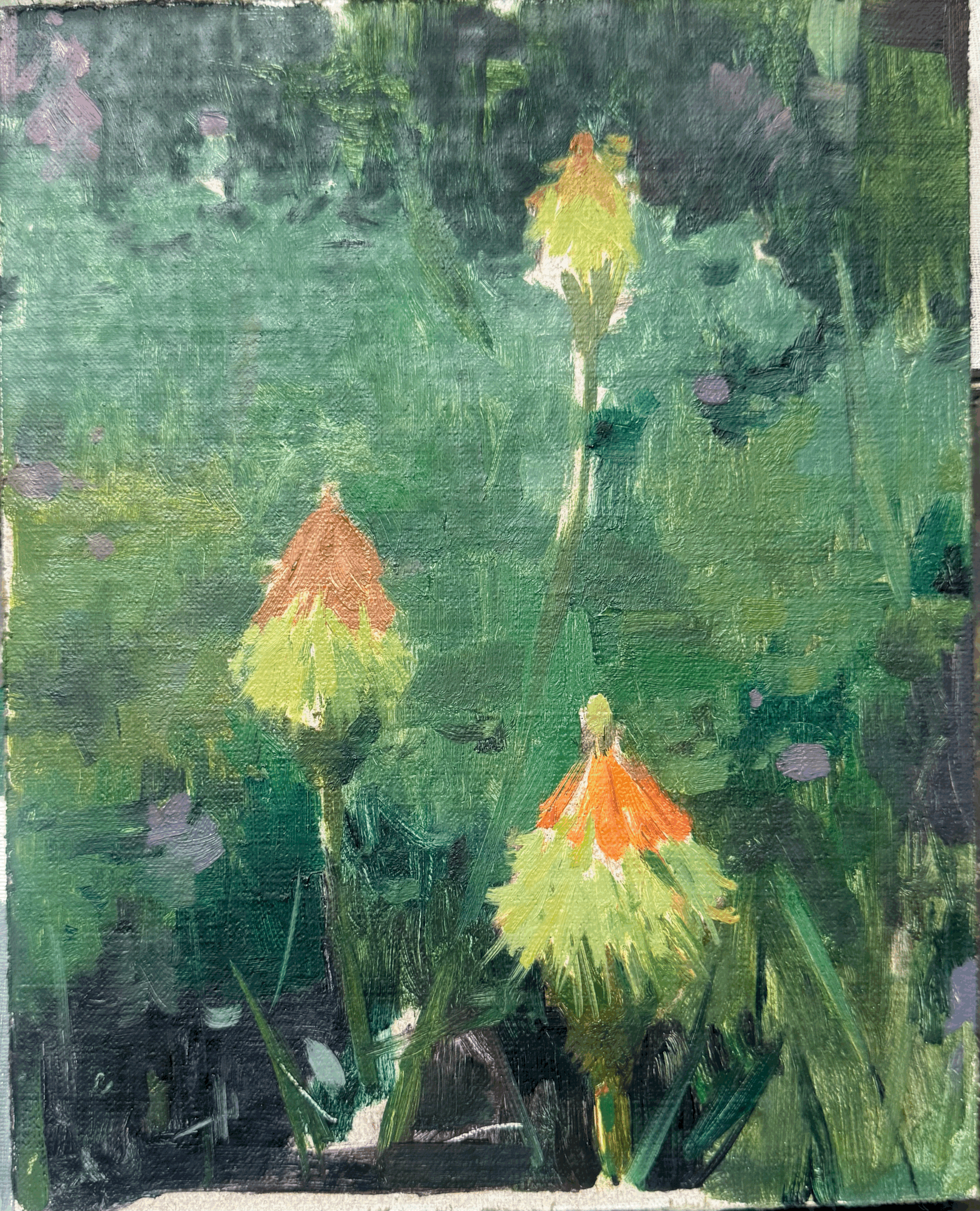 Spring Flowers