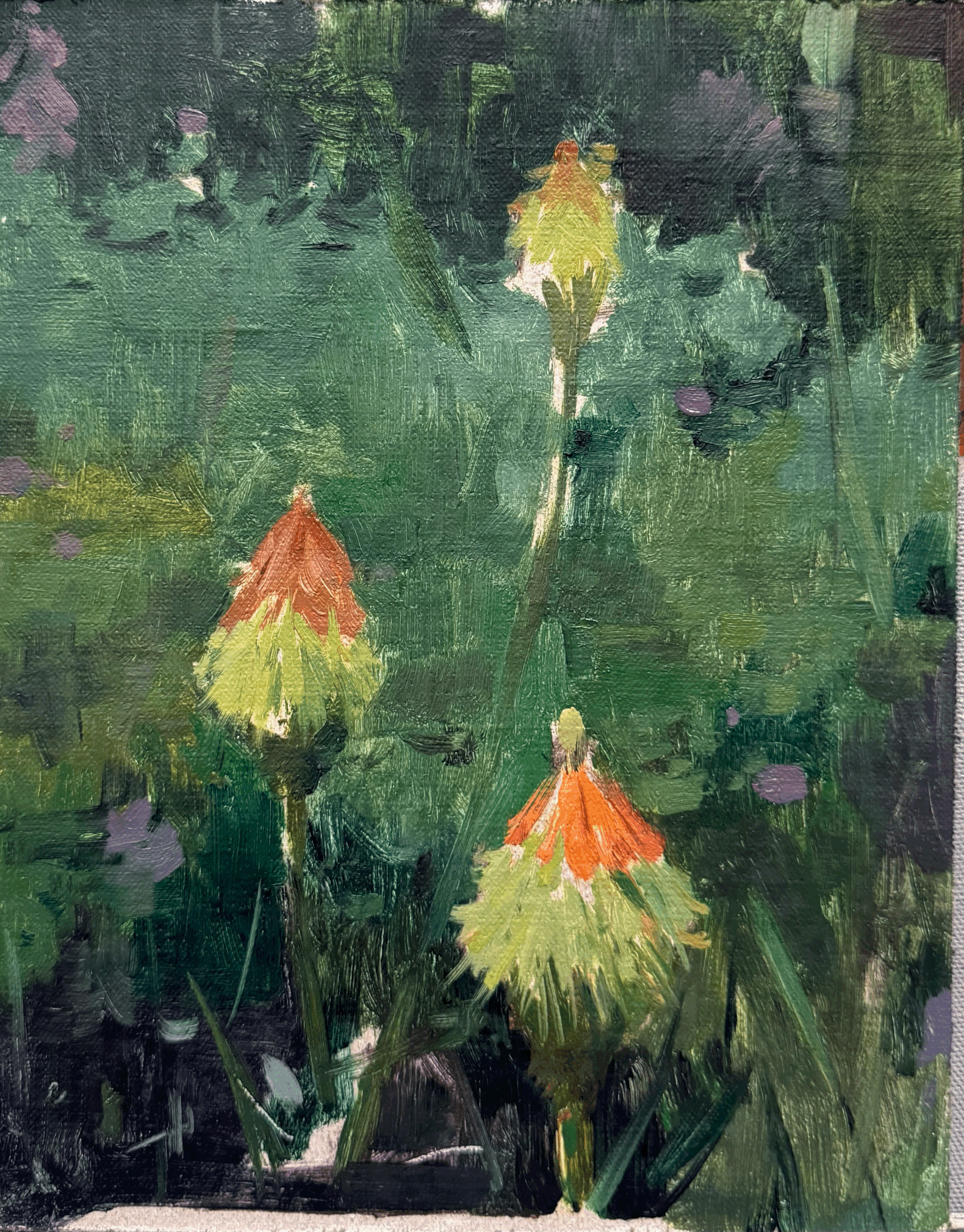 Spring Flowers