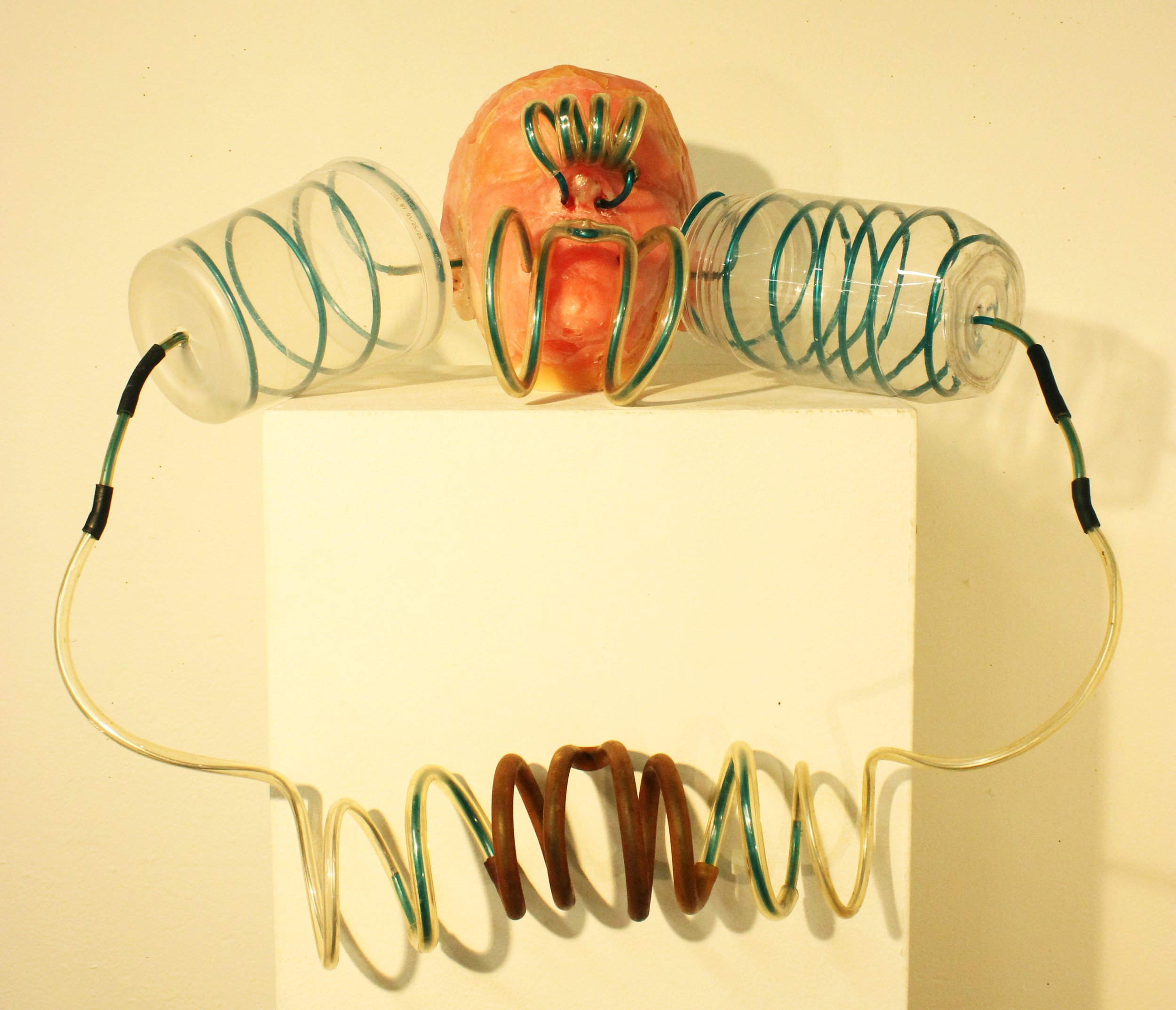 Mixed media artwork with a center glass human head sculpture and coiled wires attached to glasses and a neckpiece, displayed on a white pedestal