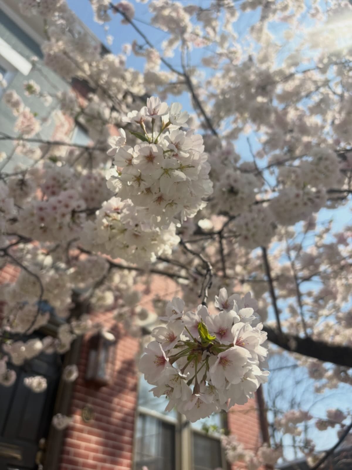 Spring is a good reminder that growth doesn&rsquo;t happen all at once&mdash;it&rsquo;s gradual, intentional, and built over time 🌸

Financial planning works the same way. The decisions you make today&mdash;saving, investing, planning ahead&mdash;se