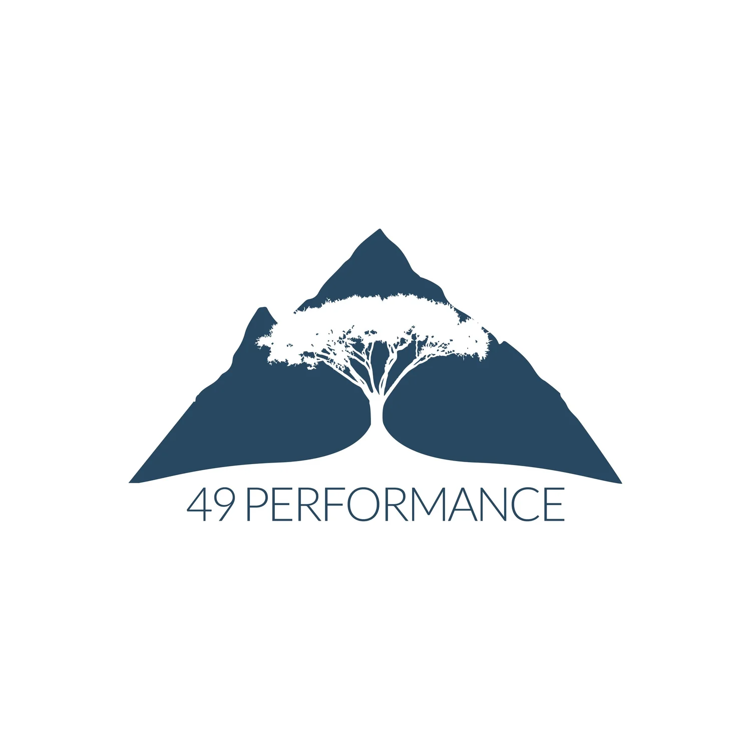 49Performance