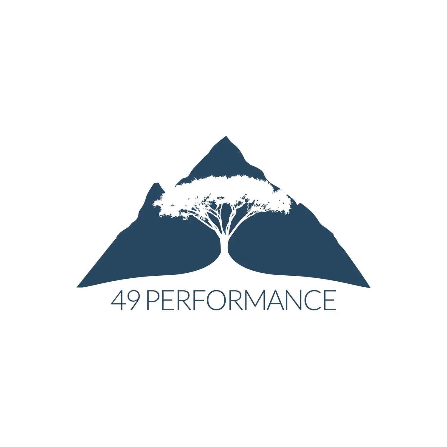 49Performance