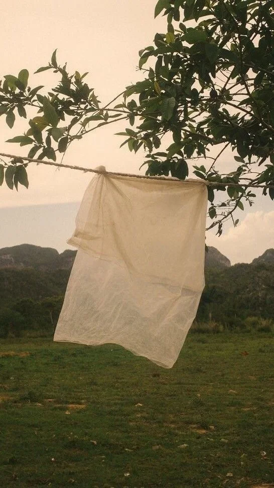 02 | Why everything feels like too much