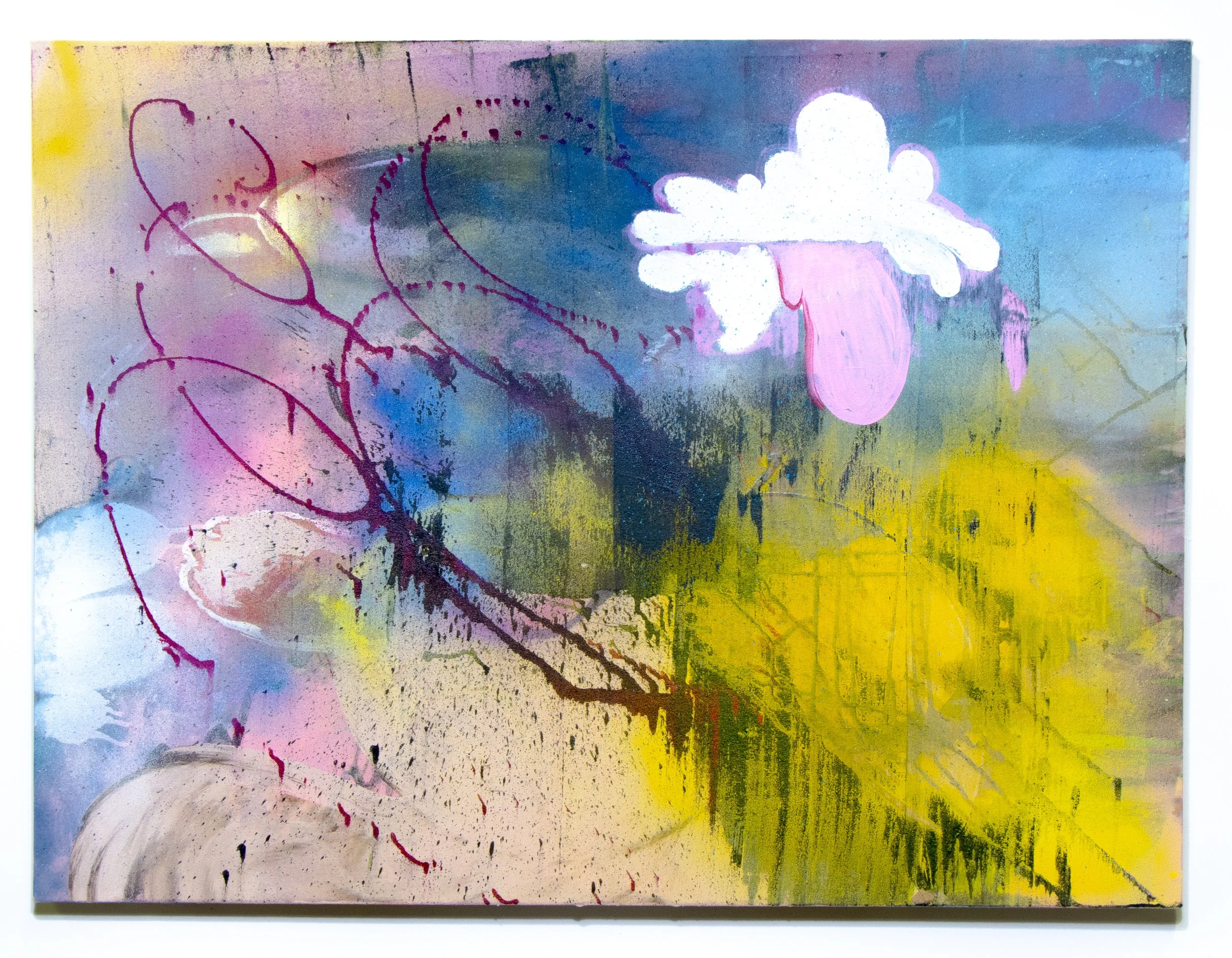 Nico Brown -
Like the Weather Do, 2025,
Acrylic, spray paint on canvas,
40 x 30 in. 