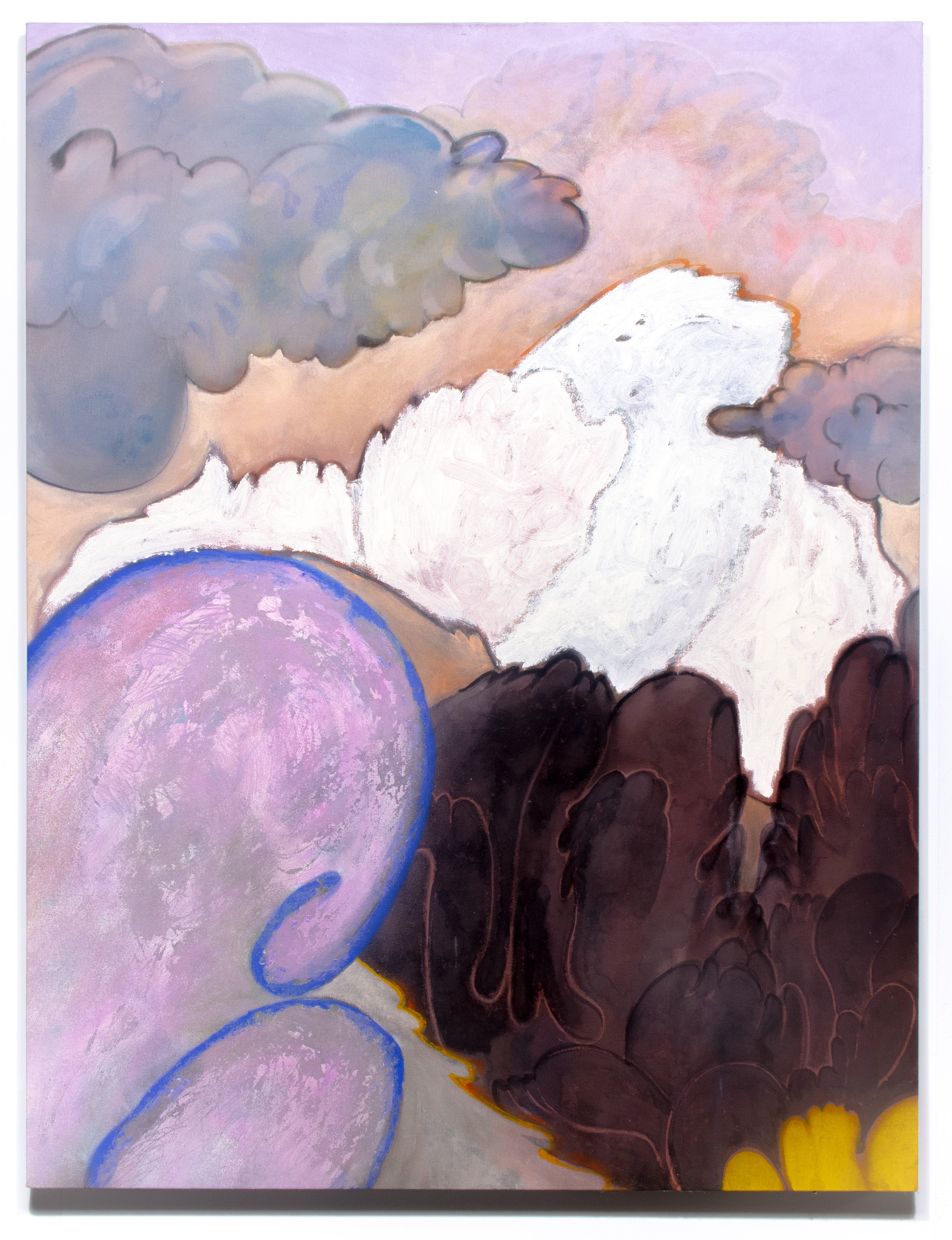 Nico Brown -
Trapper Peeks, 2025,
Acrylic, spray paint on canvas,
49 x 64 in. 