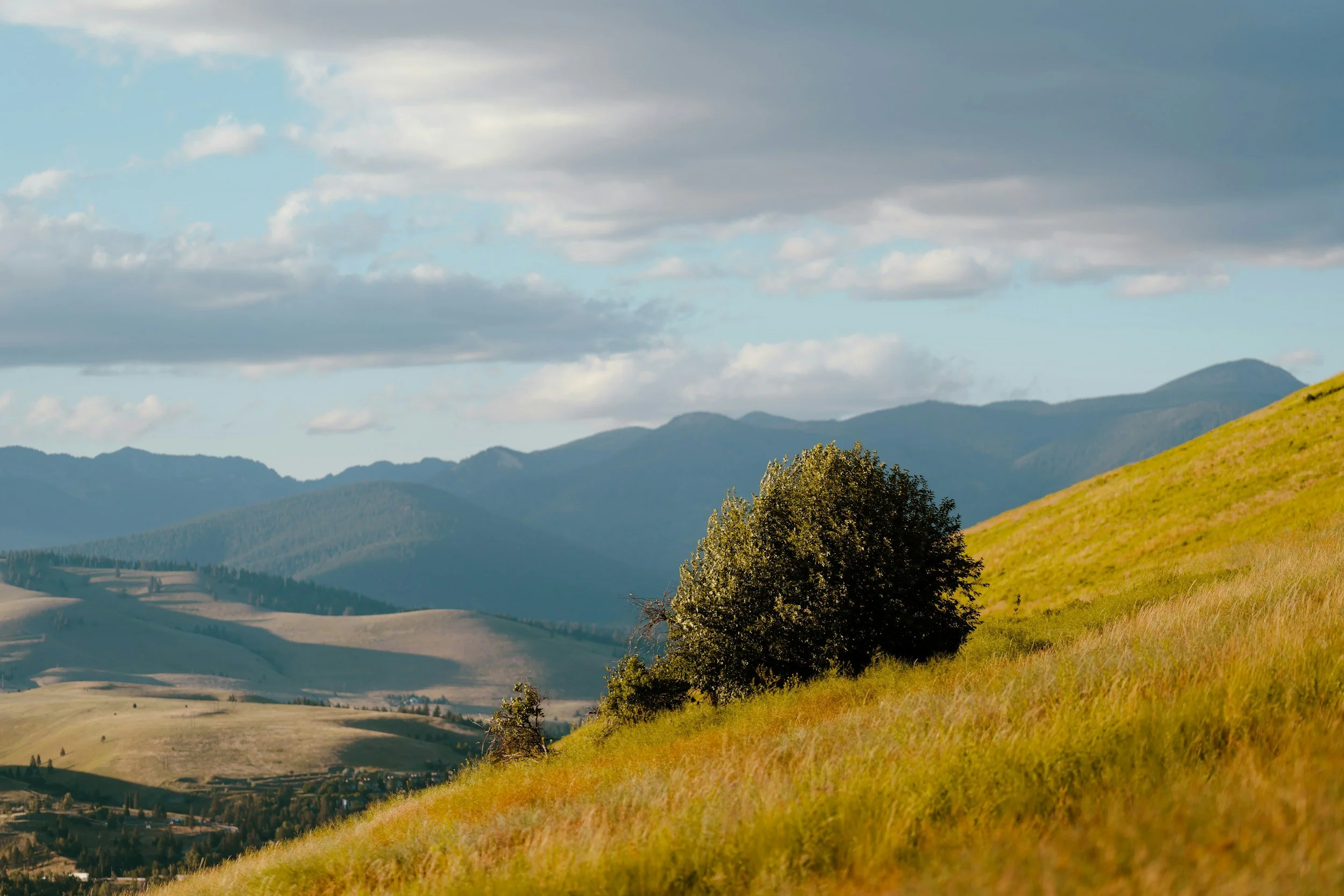 Missoula Morning Circle + Tea