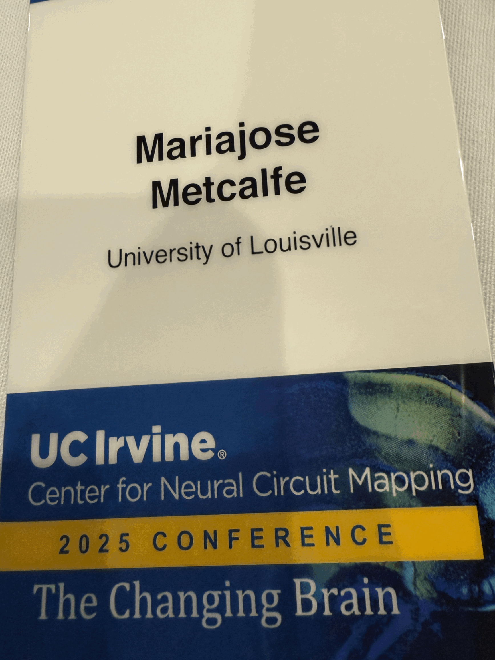 The Changing Brain Conference - Aug 2025