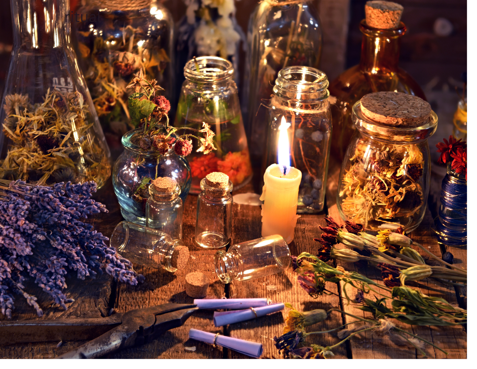 The Power of an Herbal Ritual: Nourishing Your Body, Mind, and Spirit