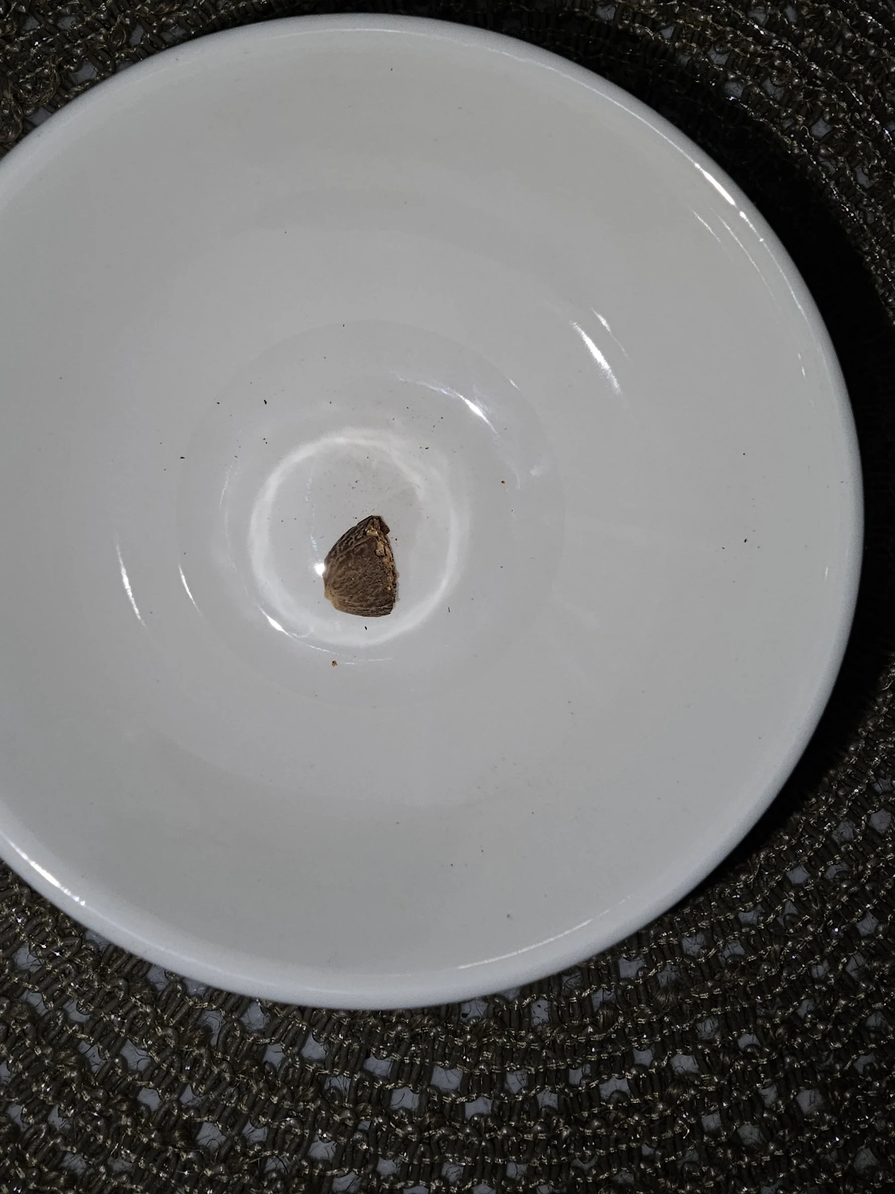 Nutmeg